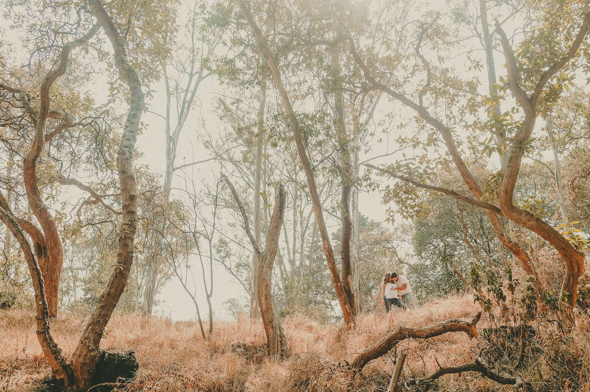 Ximena. Wedding and family photographer in Mexico City