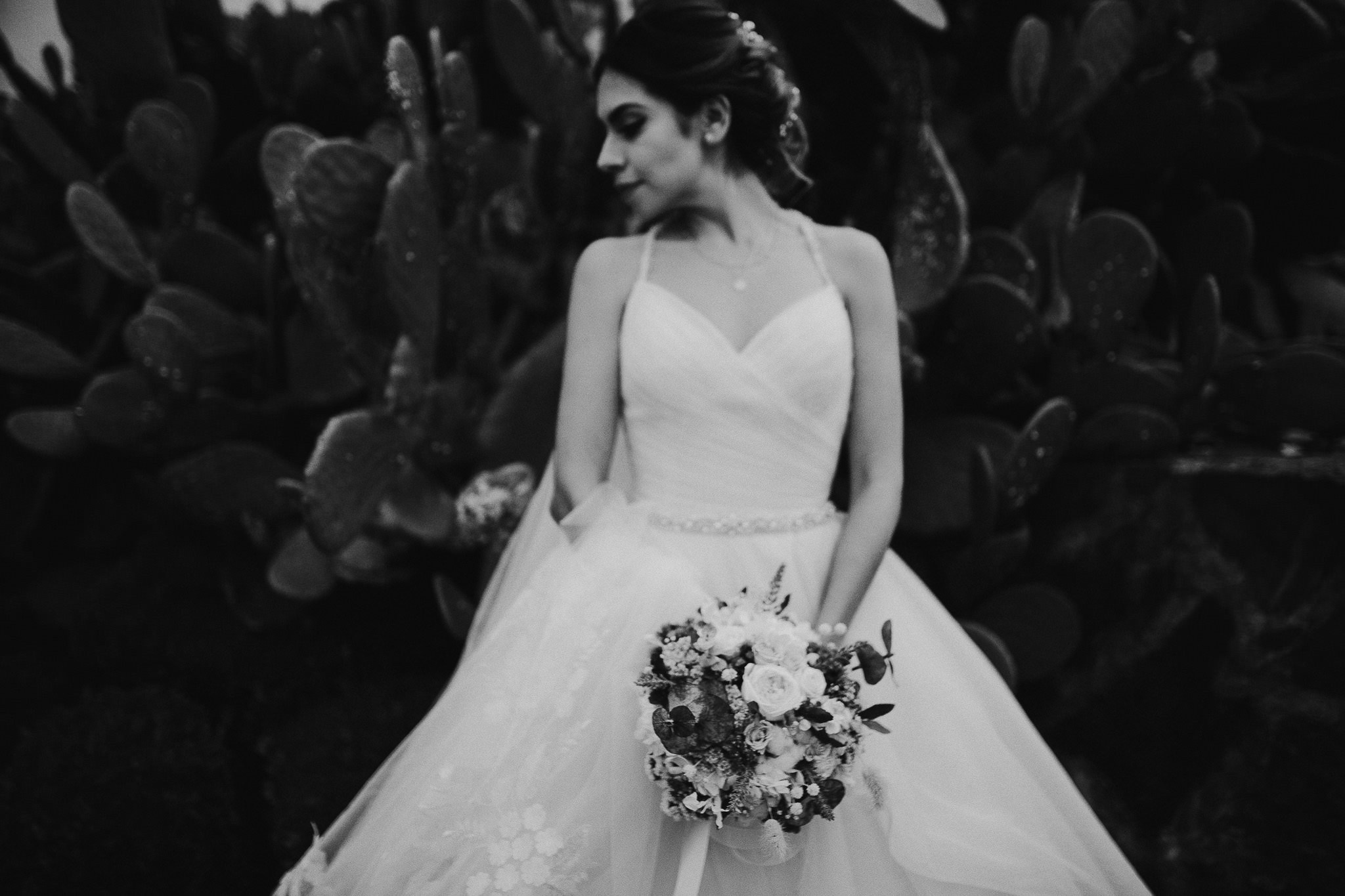 Sol & Cesar. Wedding and family photographer in Mexico City