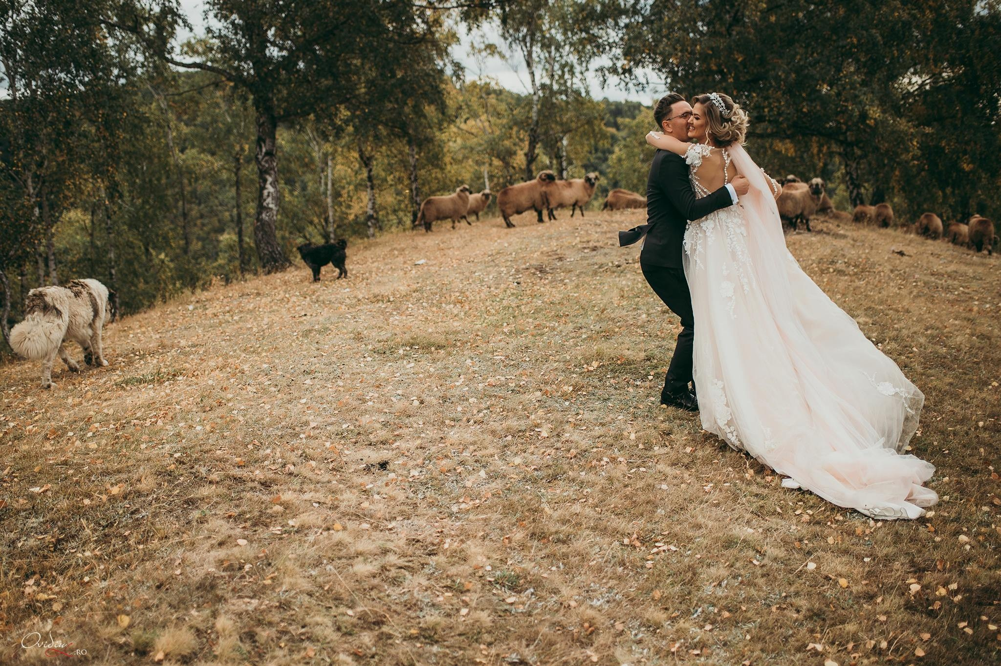 Wedding and portrait photography portfolio. Wedding and portrait photographer in Suceava Ovidiu Lesan