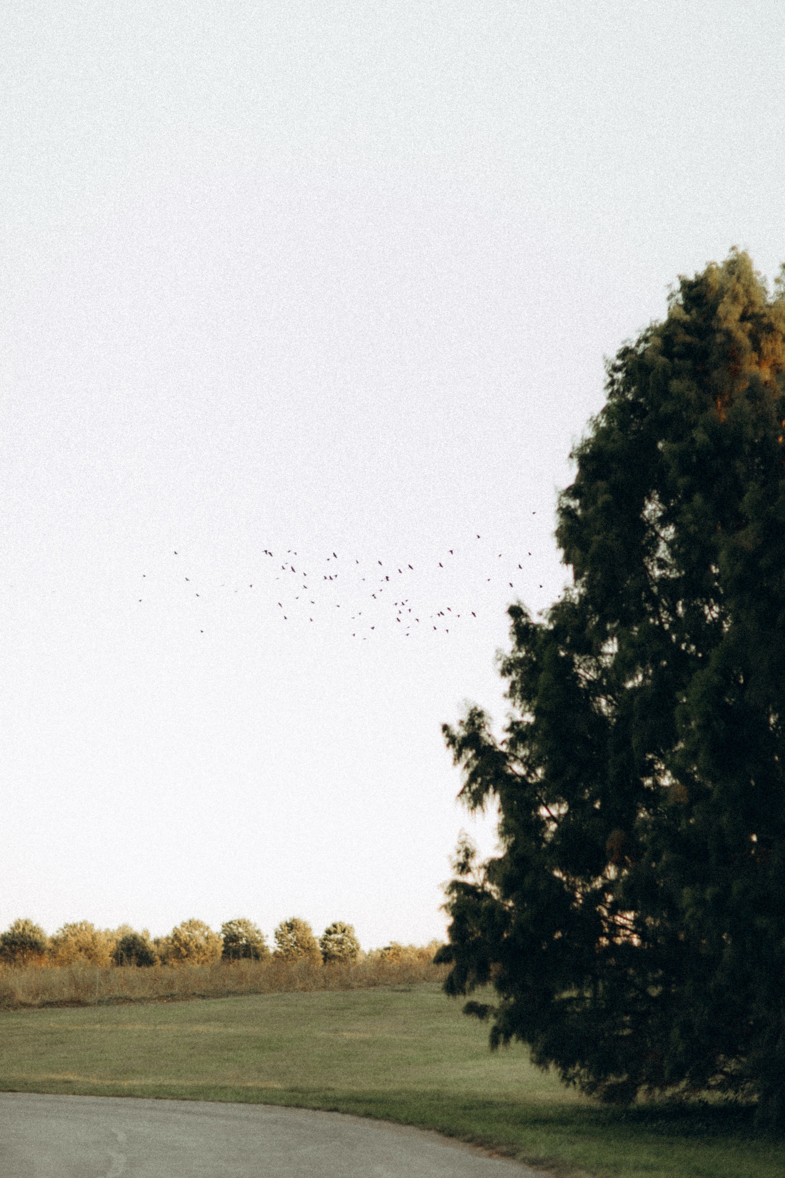Genesis and her little Beau. CAPTURED BY SHANKS PHOTOGRAPHY