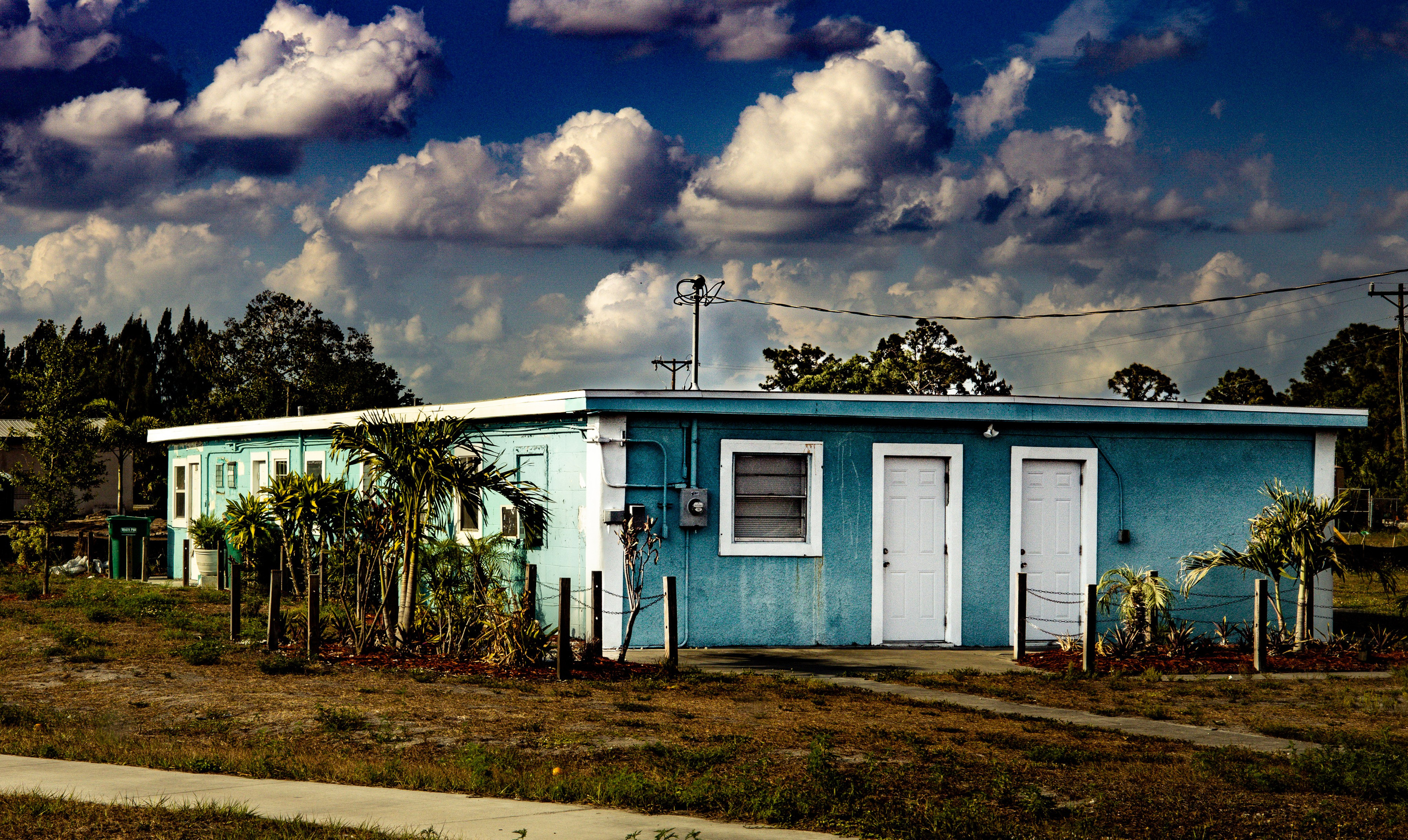 Americana — Immokolee. Out and About 239