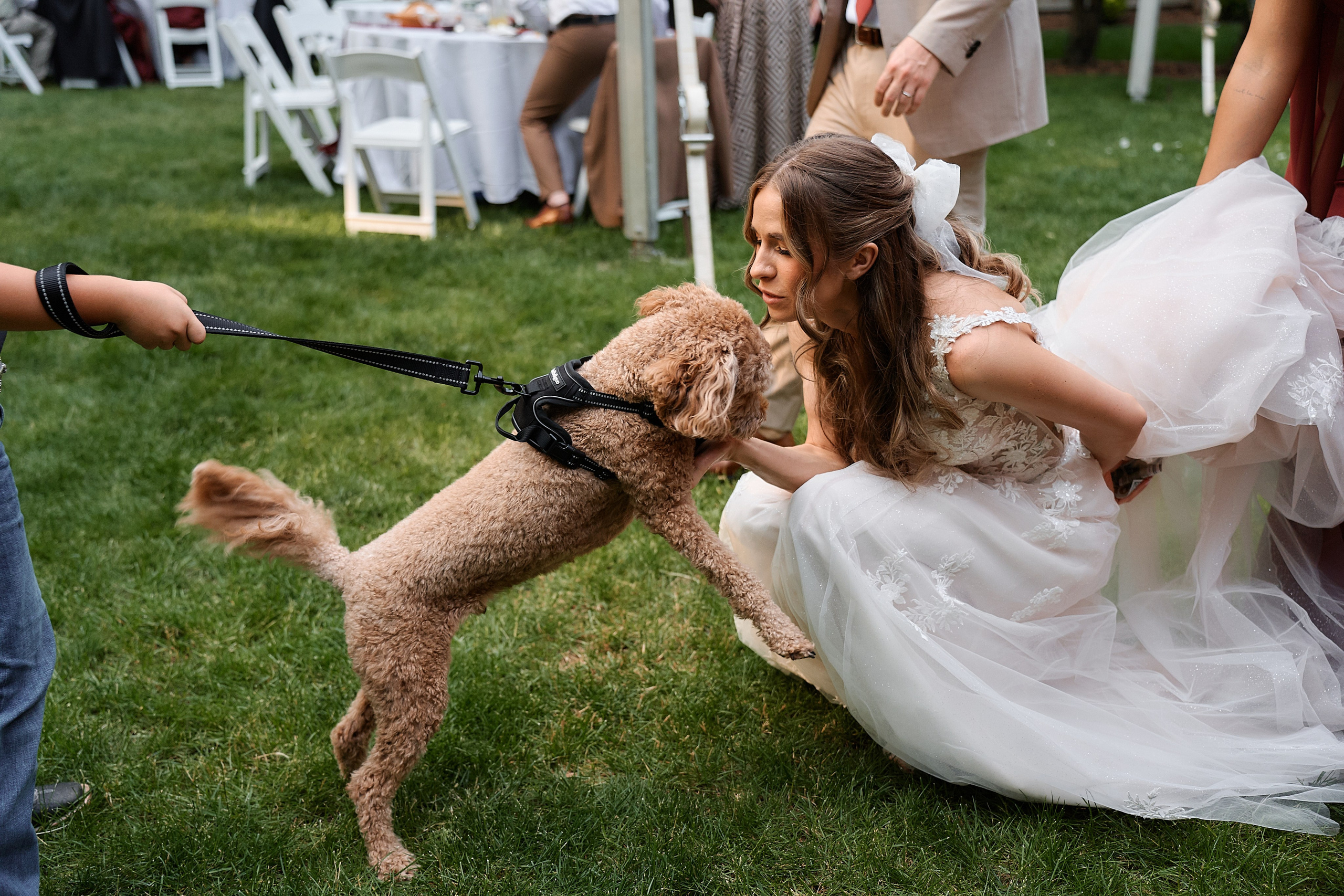 Adrianna & Nicholas. Professional Wedding and event photographer USA New York