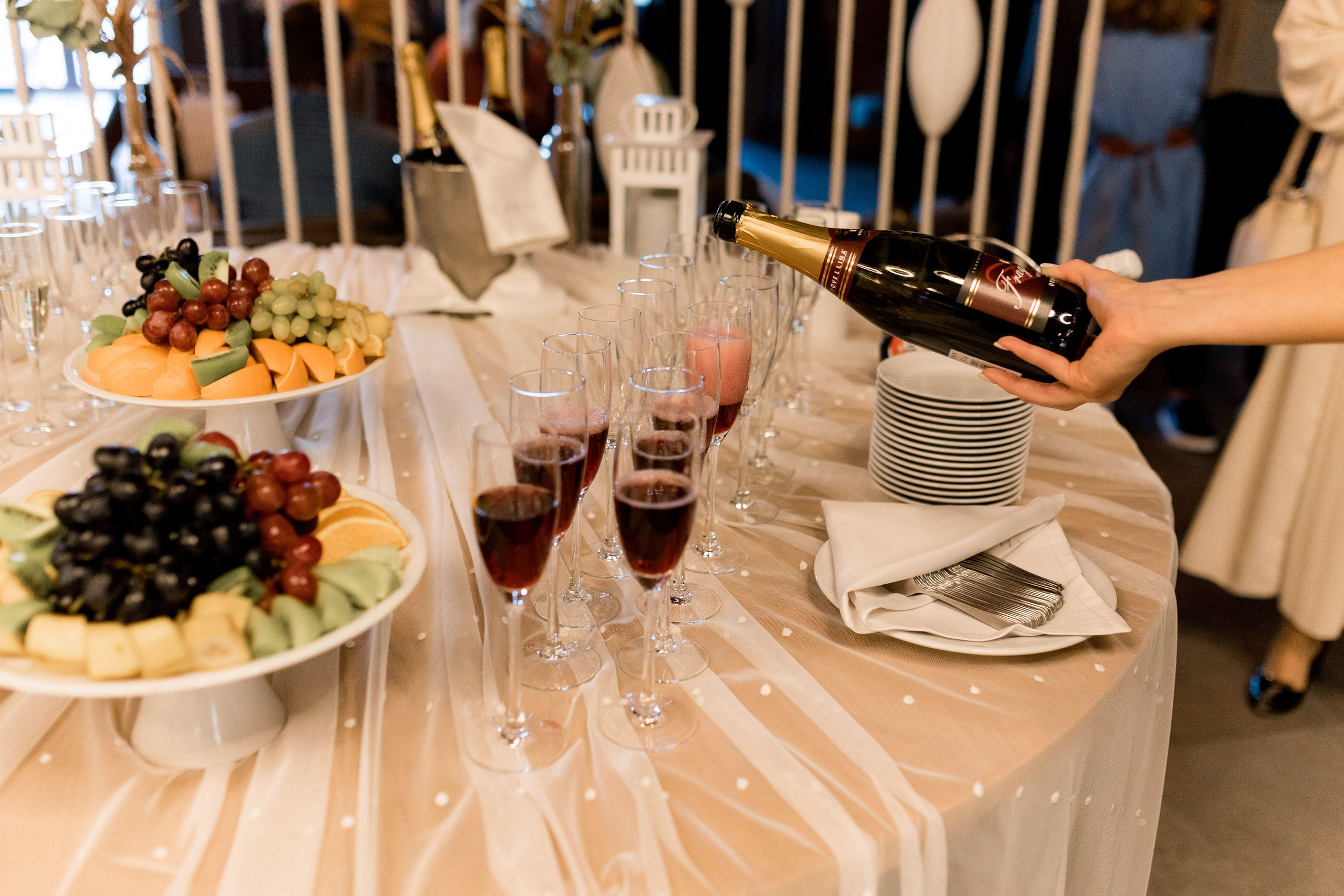 Лариса та Роман. Ірина Терещук