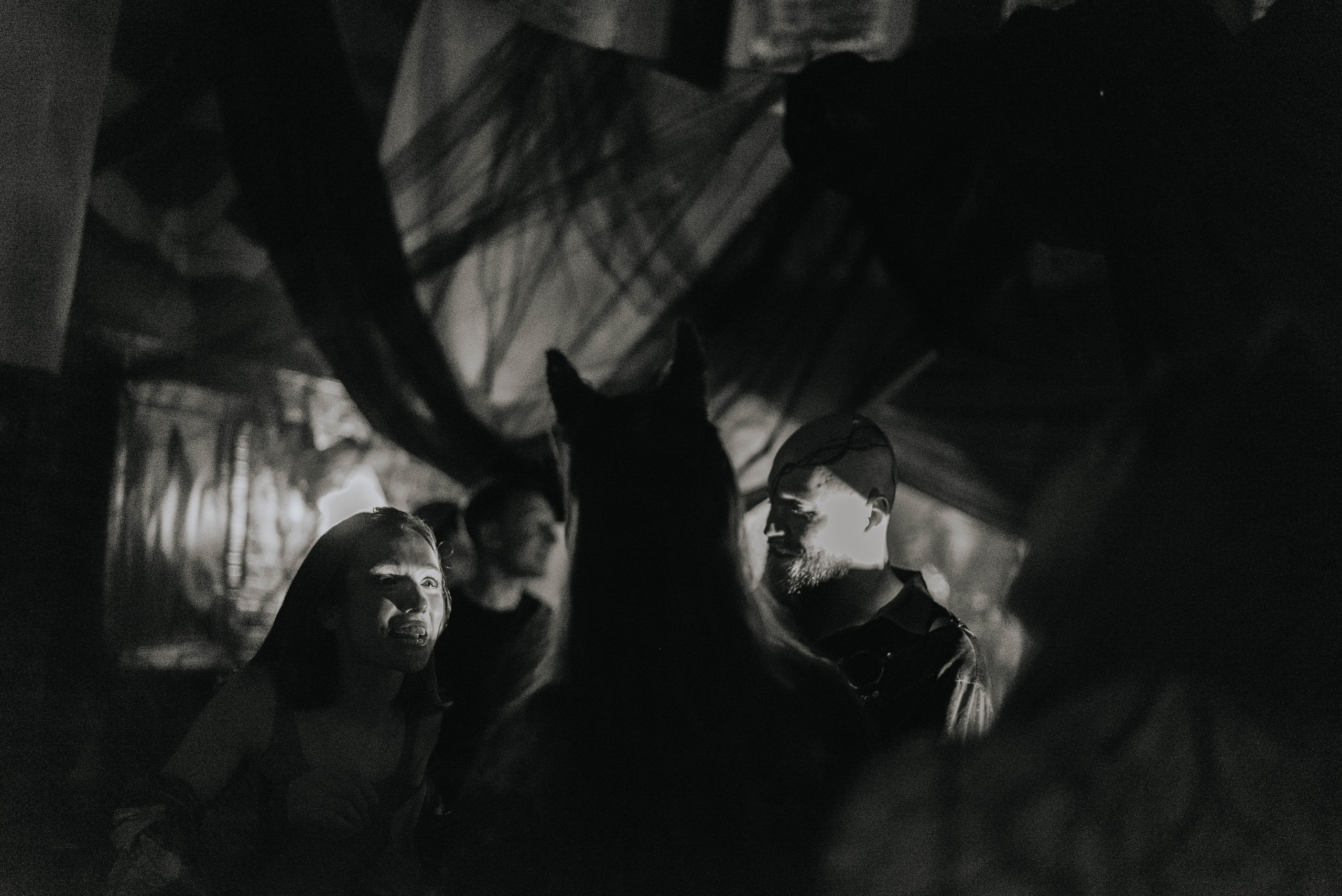 Ladno.cooperativa. Photographer @elmirkami in the city of Buenos Aires