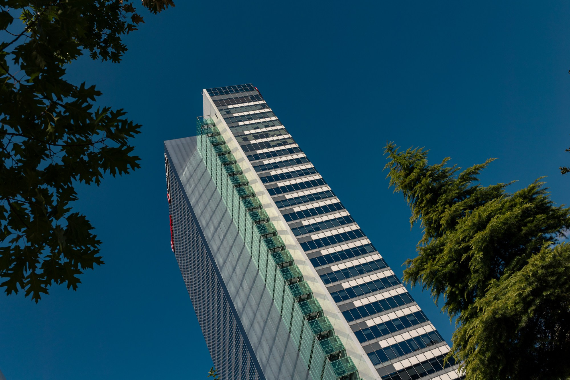 The Grid. A Creative Insight | Catalin Nastase