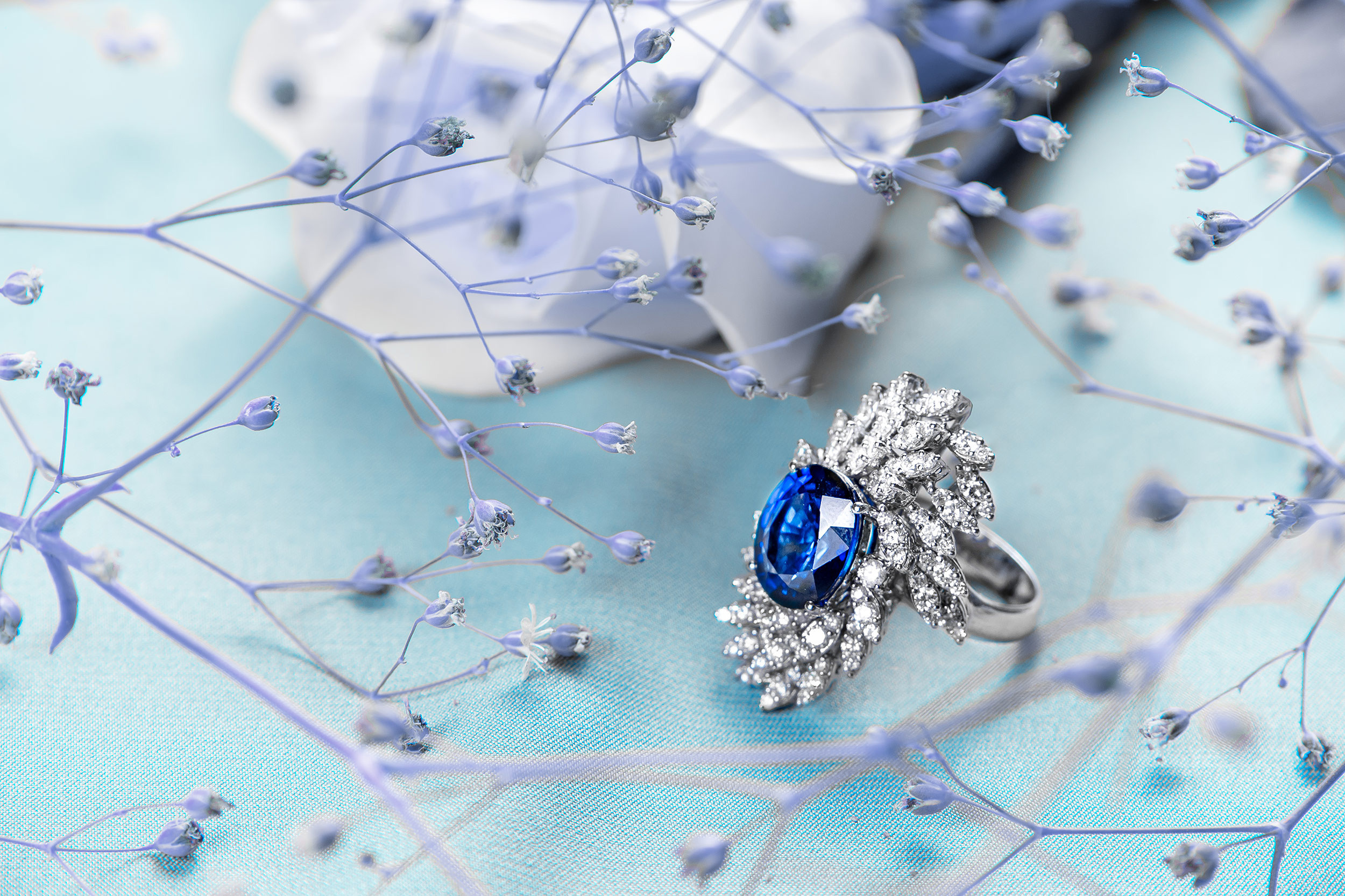 Photographer in Yerevan