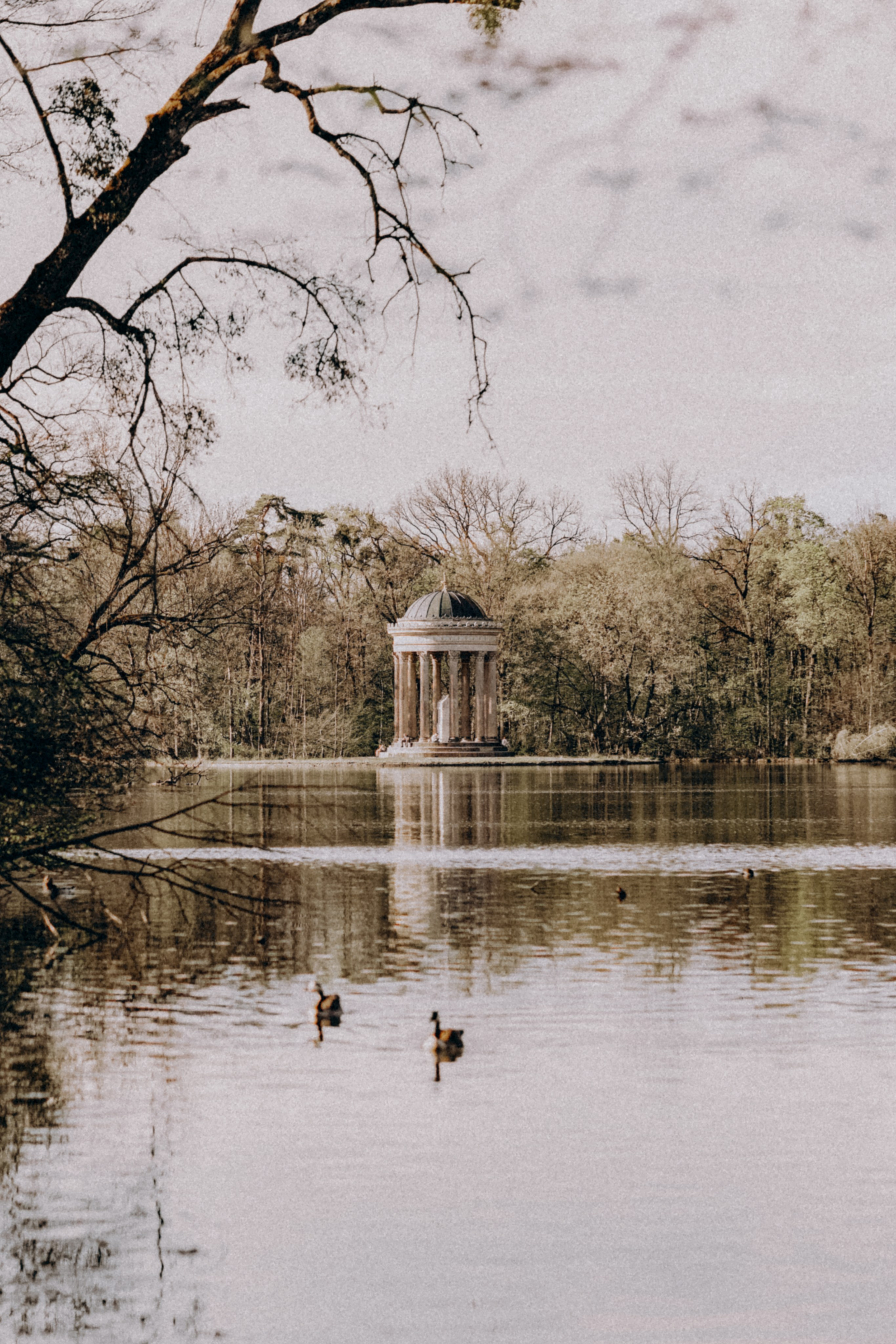 Nymphe. Family Fotografer in München und Umgebung