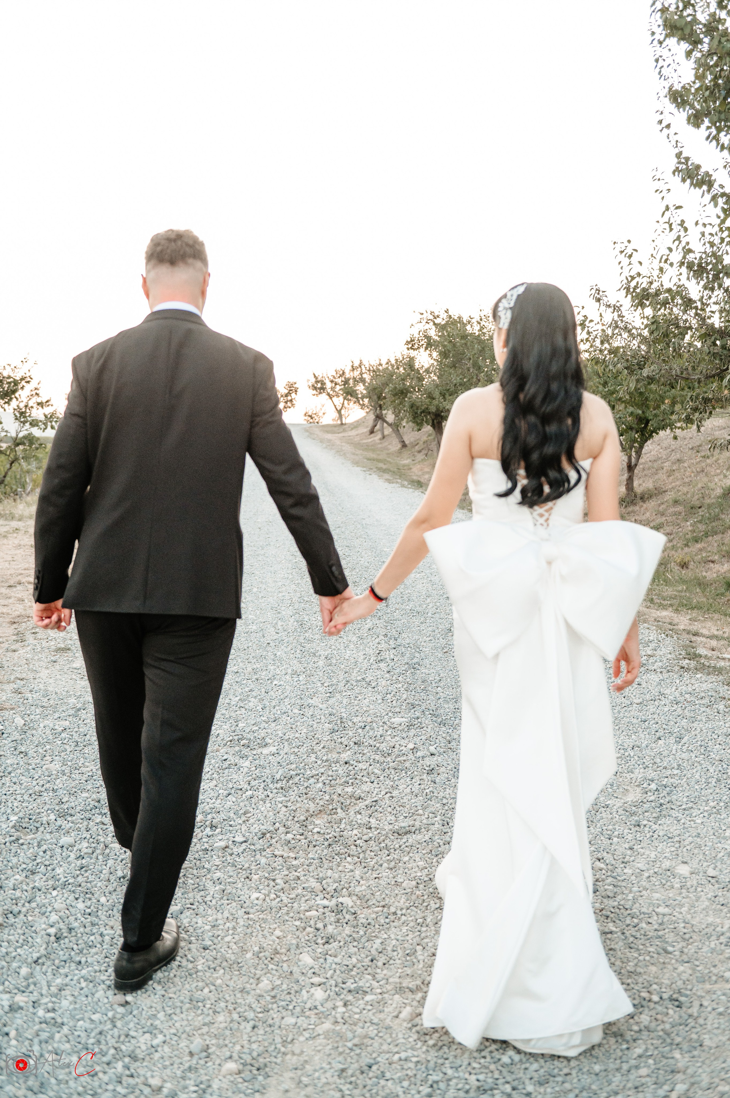 Monica & Dan. Fotograf de evenimente