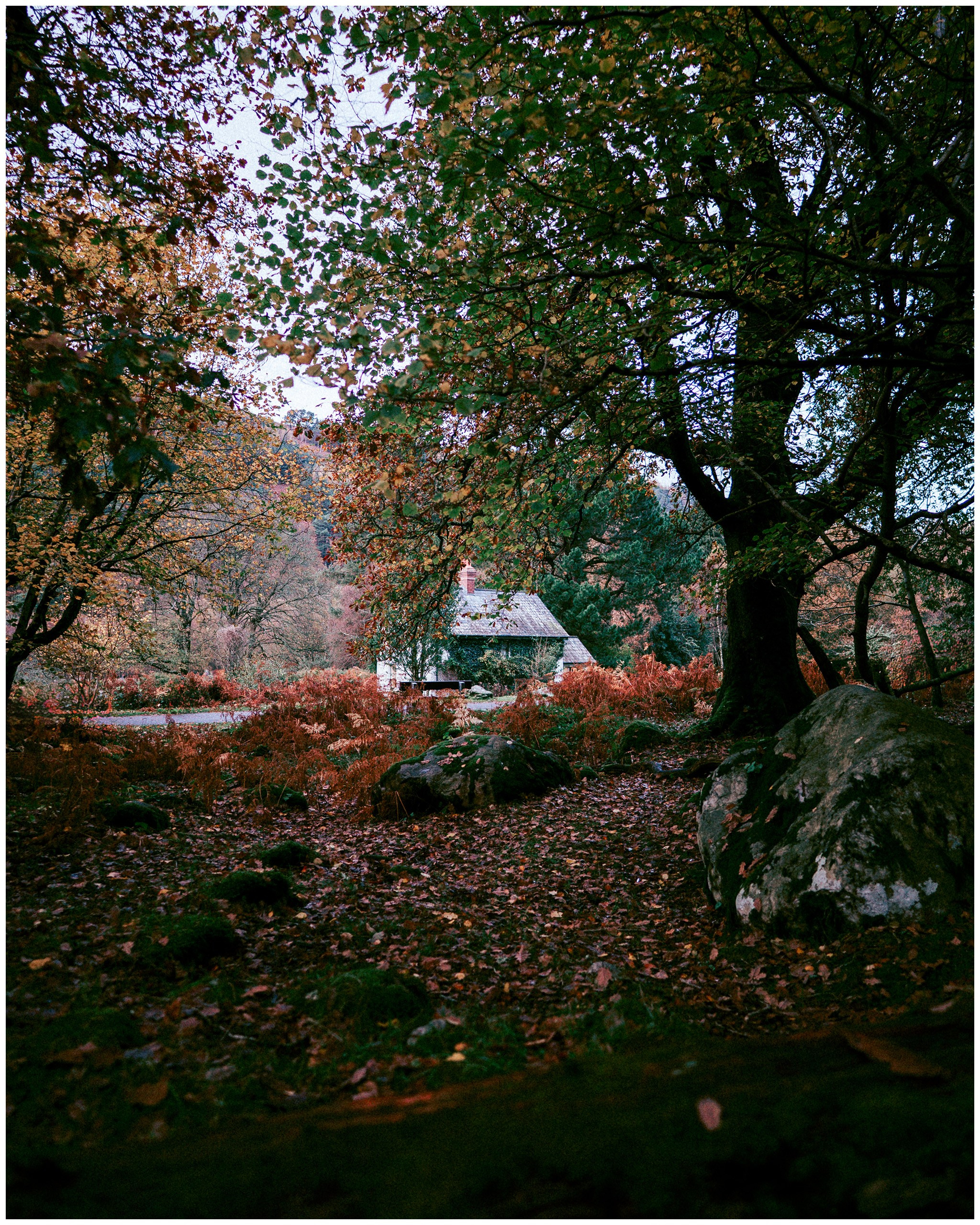 IRELAND. Inna Mendelson — Photographer