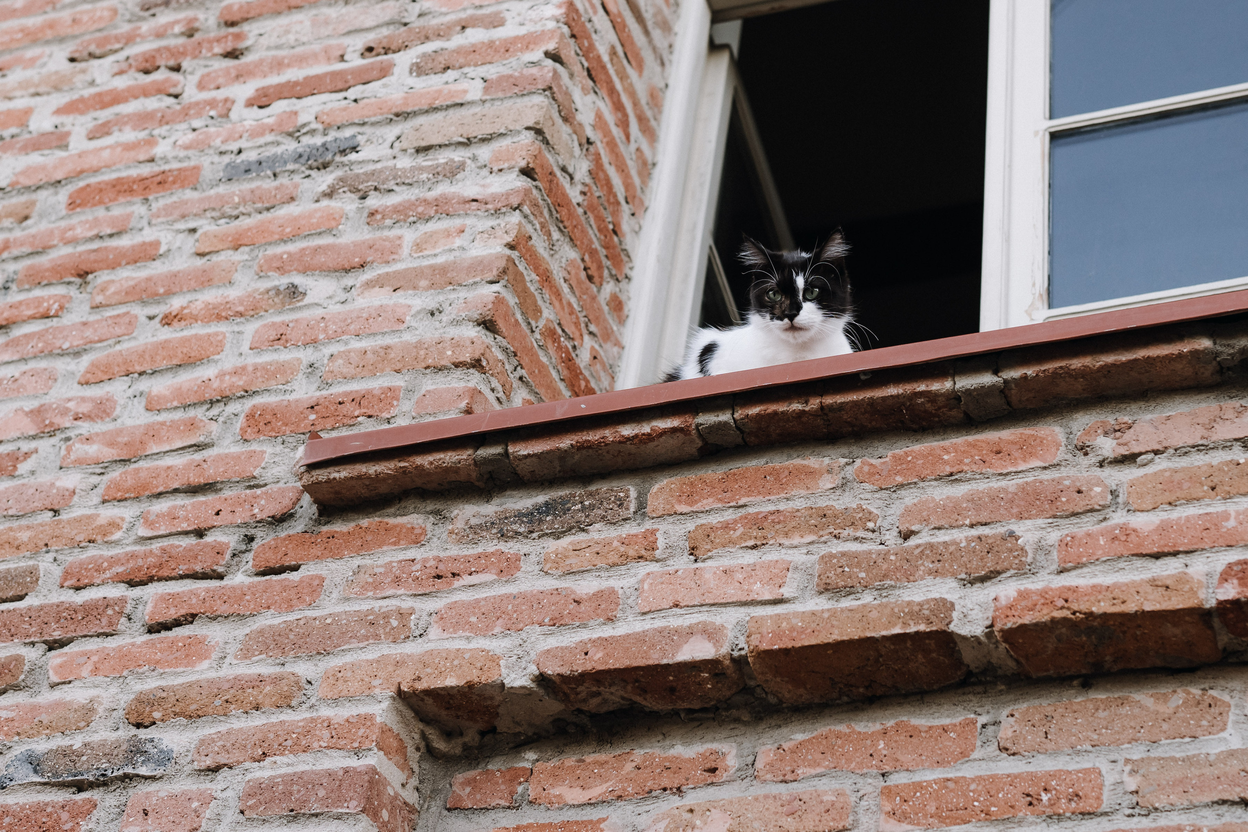 Tbilisi, September. Дарья Филькова — фотограф и видеограф в Тбилиси, Грузия