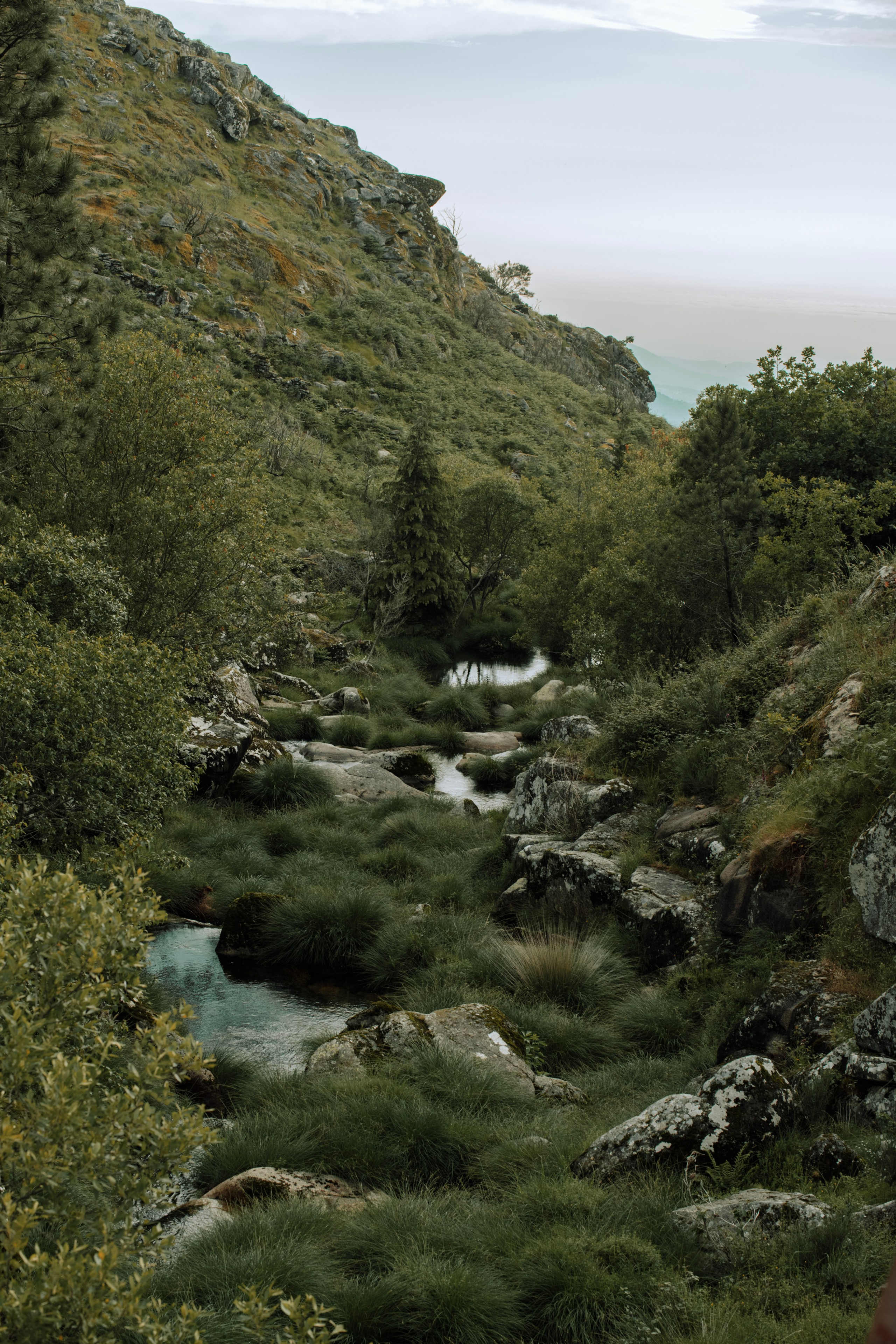 SOFIA and VALTER. Arouca. Anastasiia Antoniuk portrait, family and couple photographer, Portugal