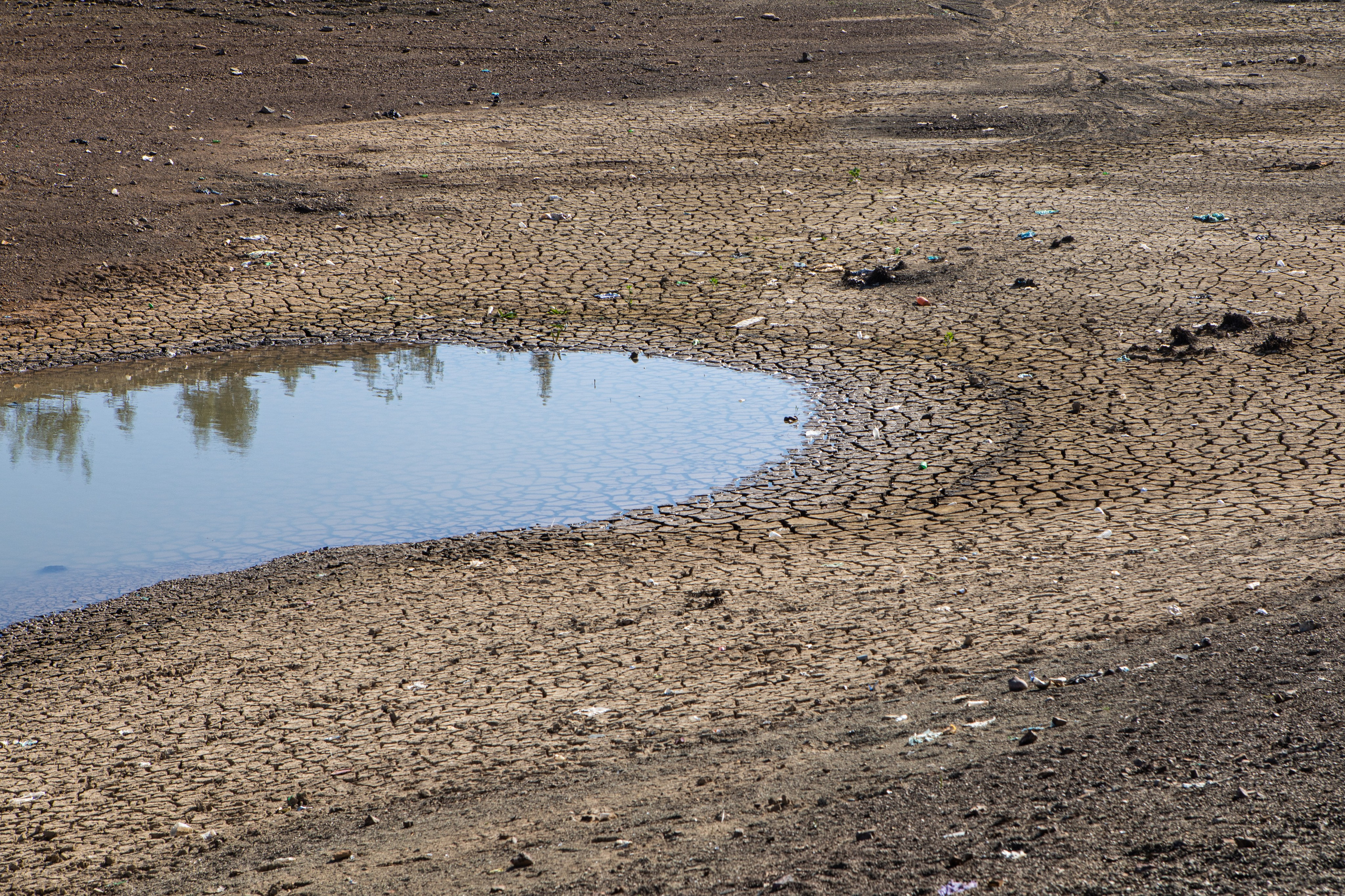 Garbage landscape. Documentary, lifestile photographer in Morocco Marina Chaikovskaia