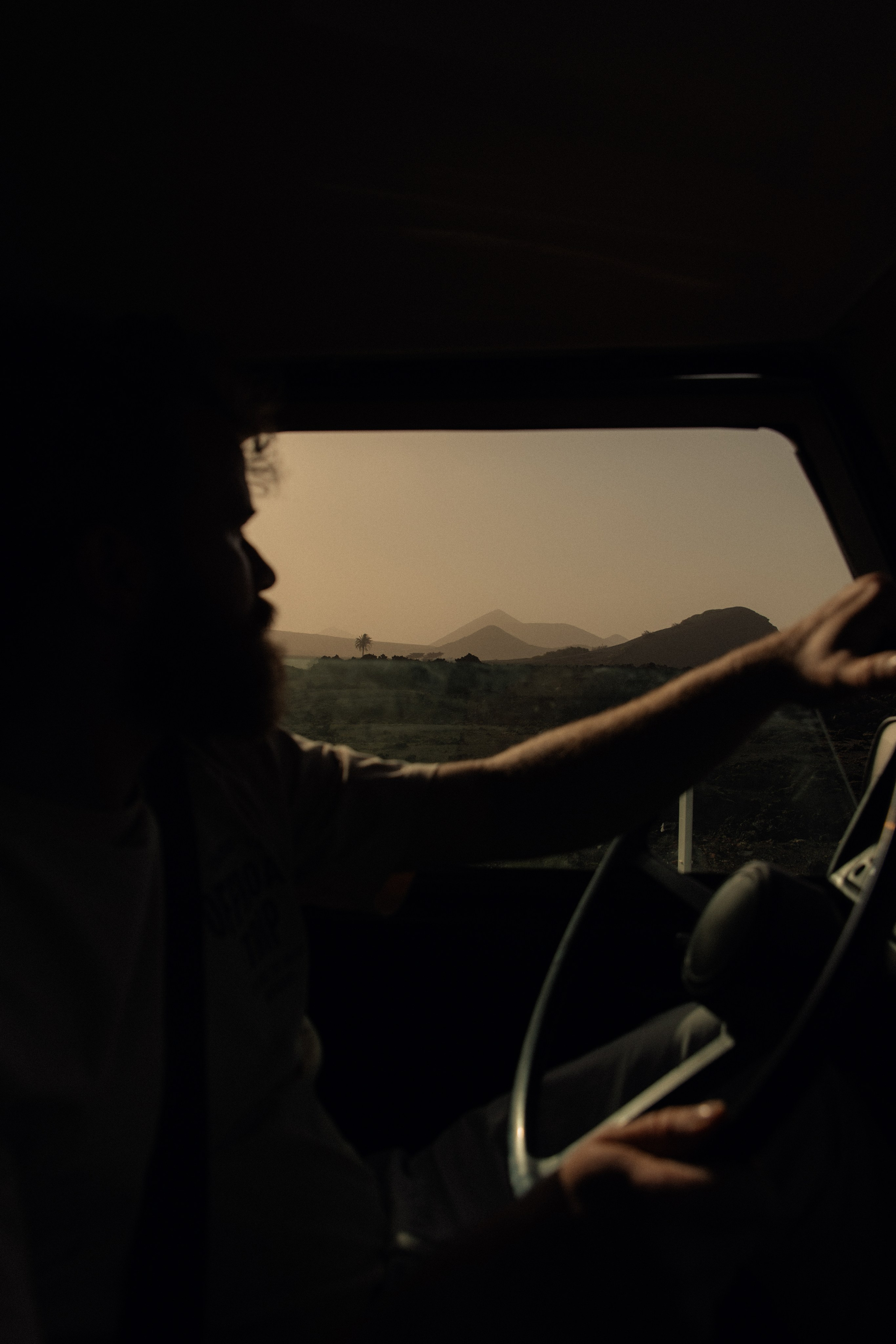 Lanzarote Turtles Van. Patricia Morenci — Mountain Adventures for the Wild at Heart