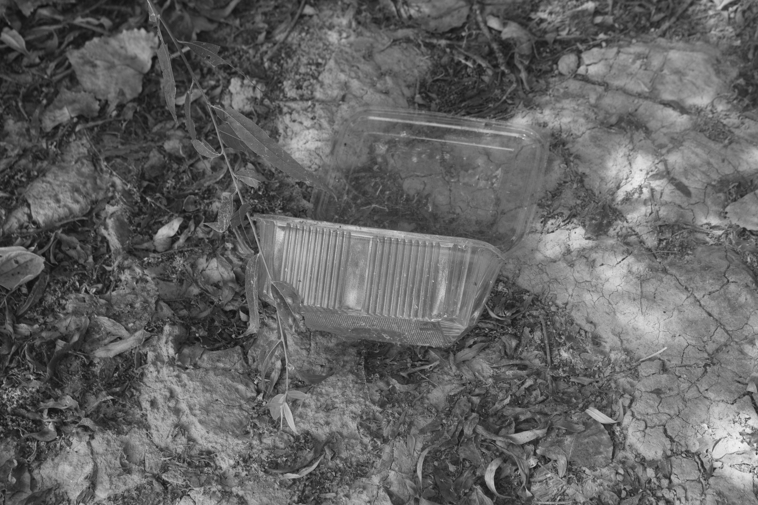 Nothing passes clean when the current enters us. Jana Gertz