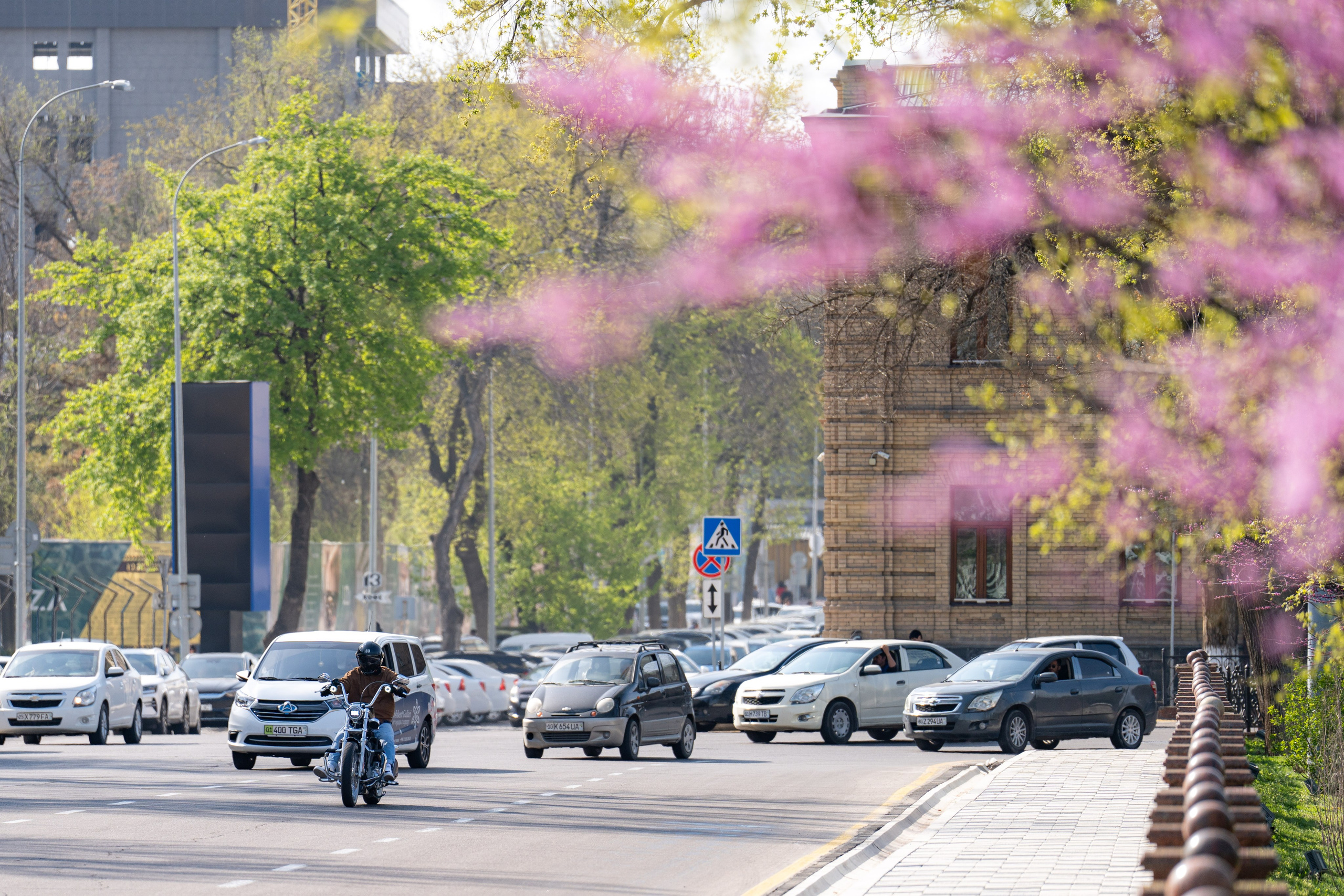 Весенний вайб Ташкента. Георгий Намазов | Фотограф в Ташкенте