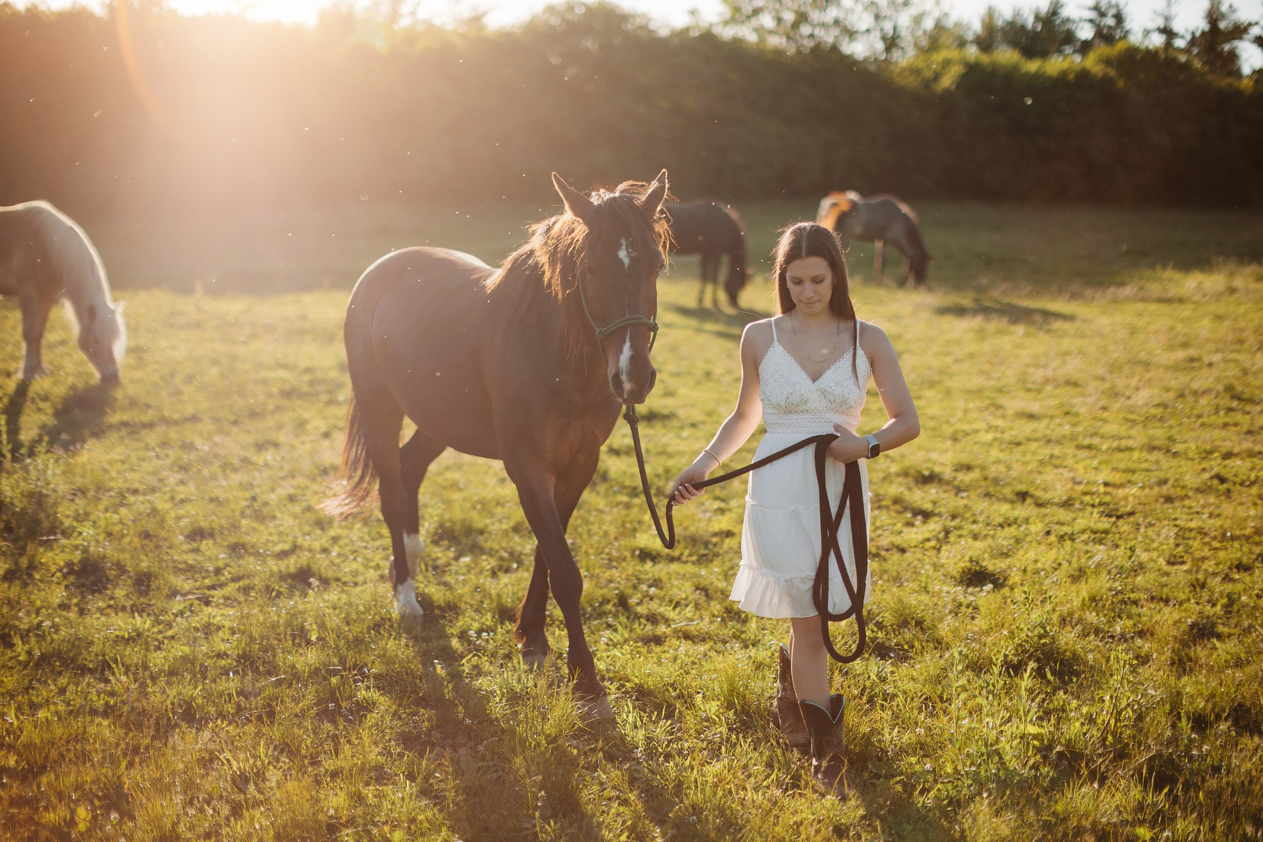 30.05.24 Family Photoshoot. Wedding family event photographer in Chicago Nick Yushevich