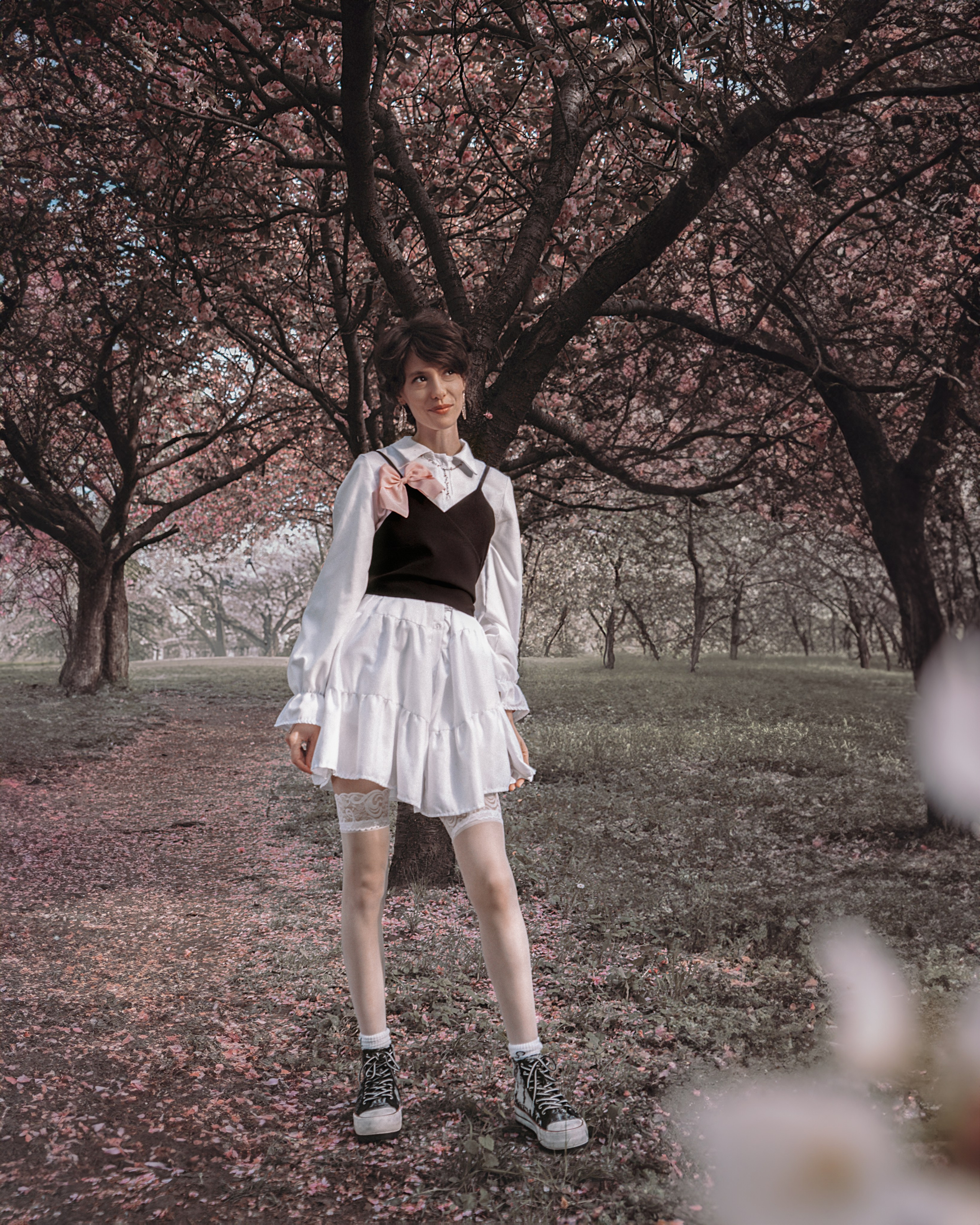 Cherry blossoms Berlin. Фотограф Одесса