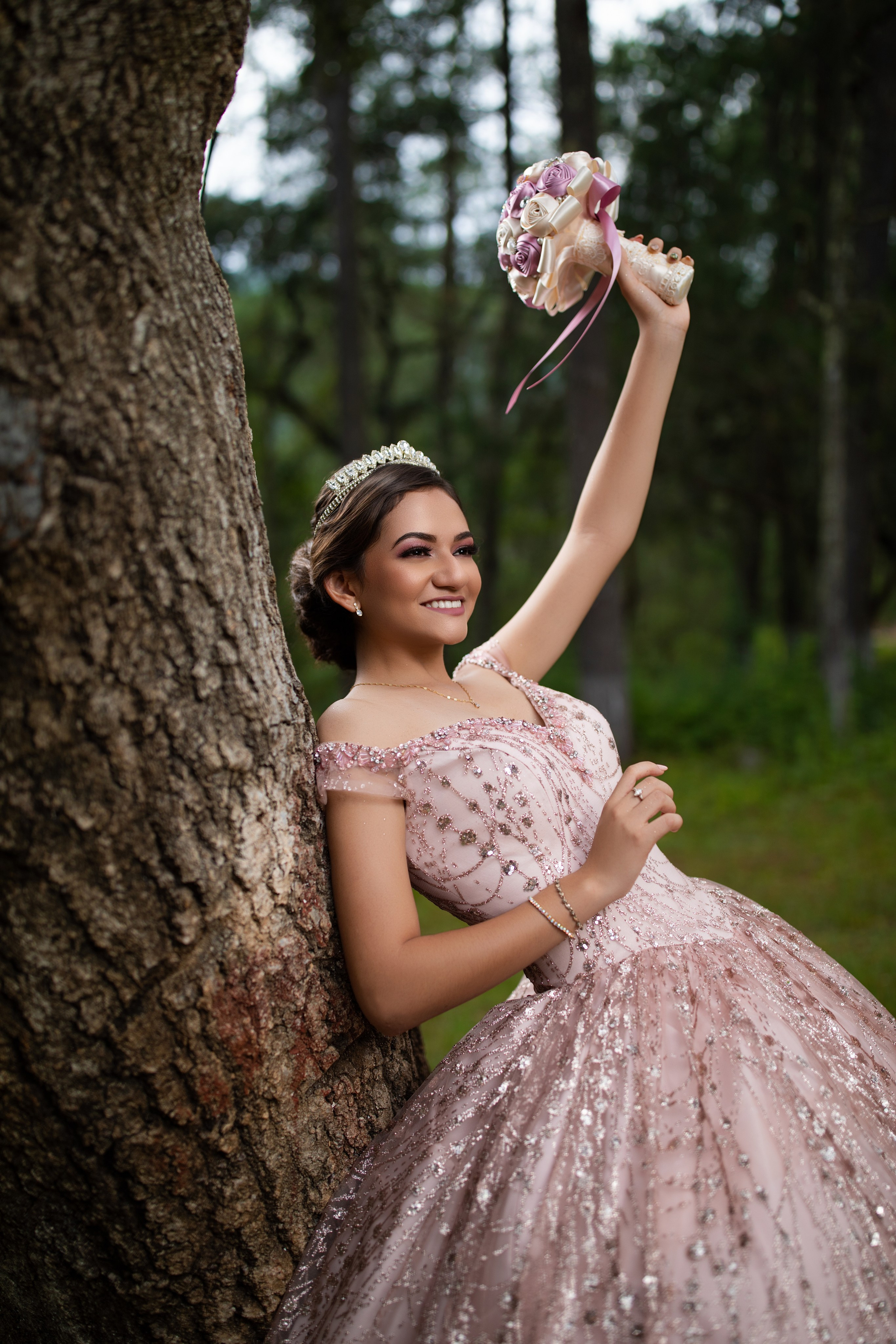 Fotografias de XV años. Principal