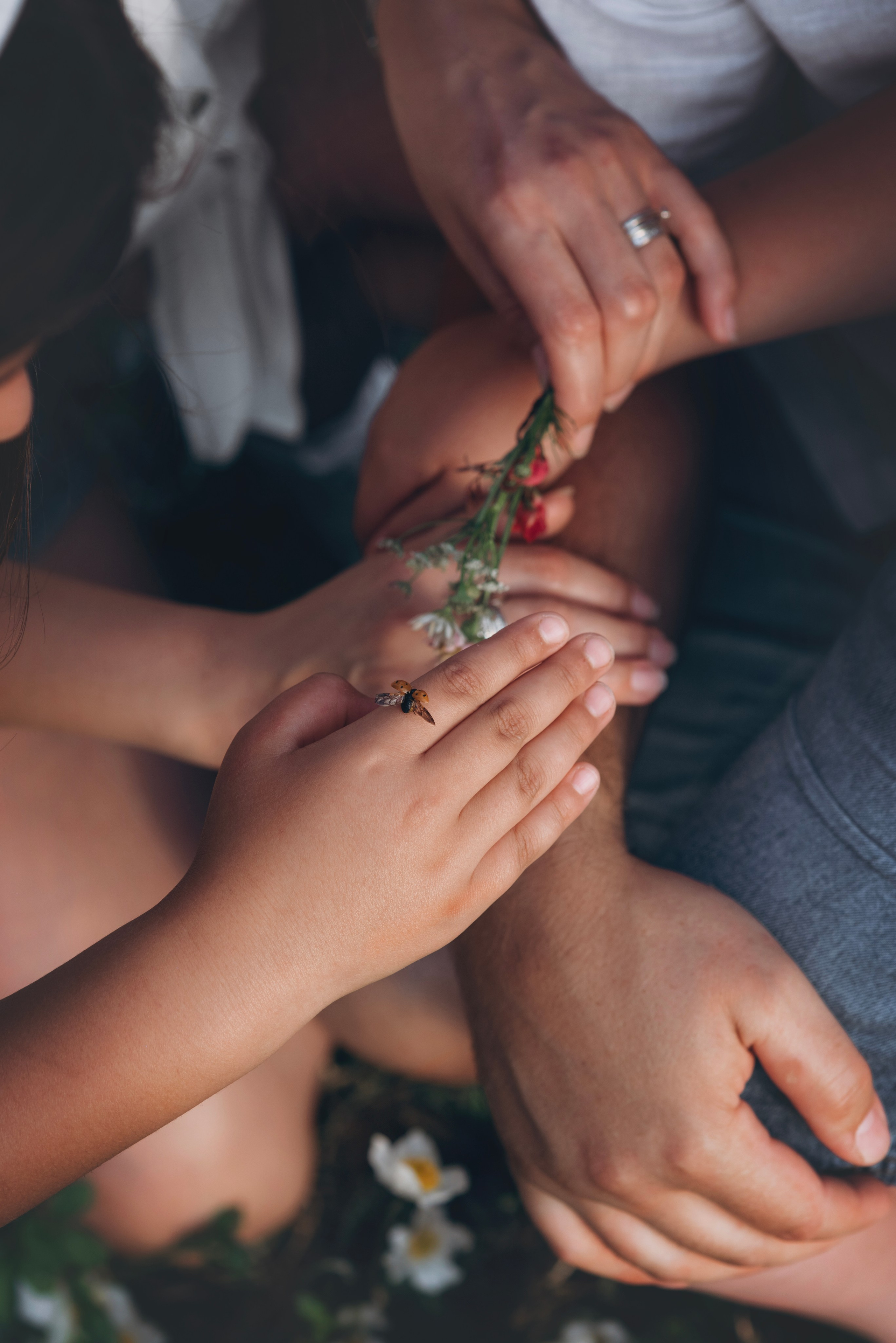 FAMILY PALUS. Photographer and videographer in Norway and Slovakia Andrea Zemko
