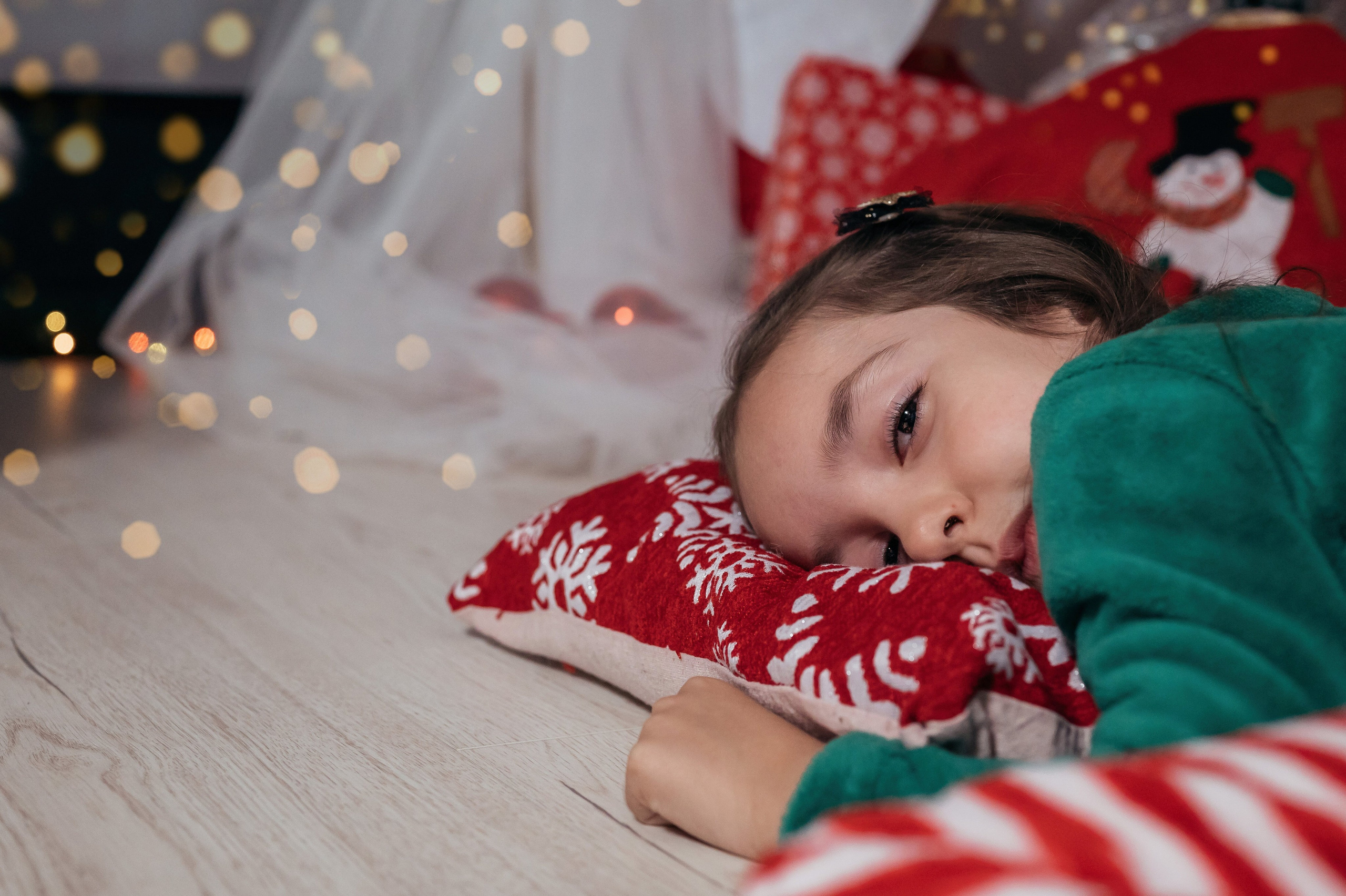 Sedinta Craciun Sofia