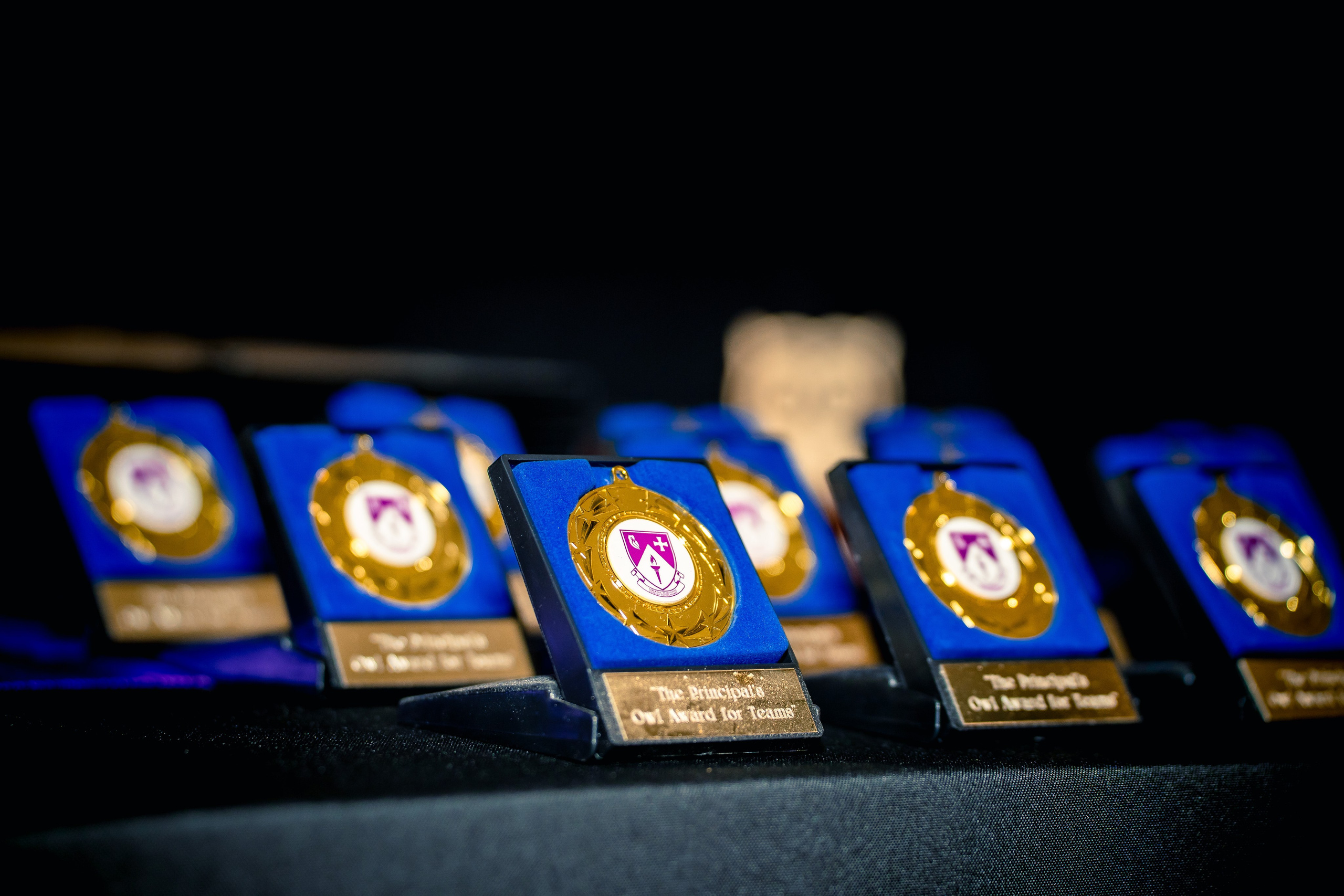 The Owl Society. Expect Miracles Photography