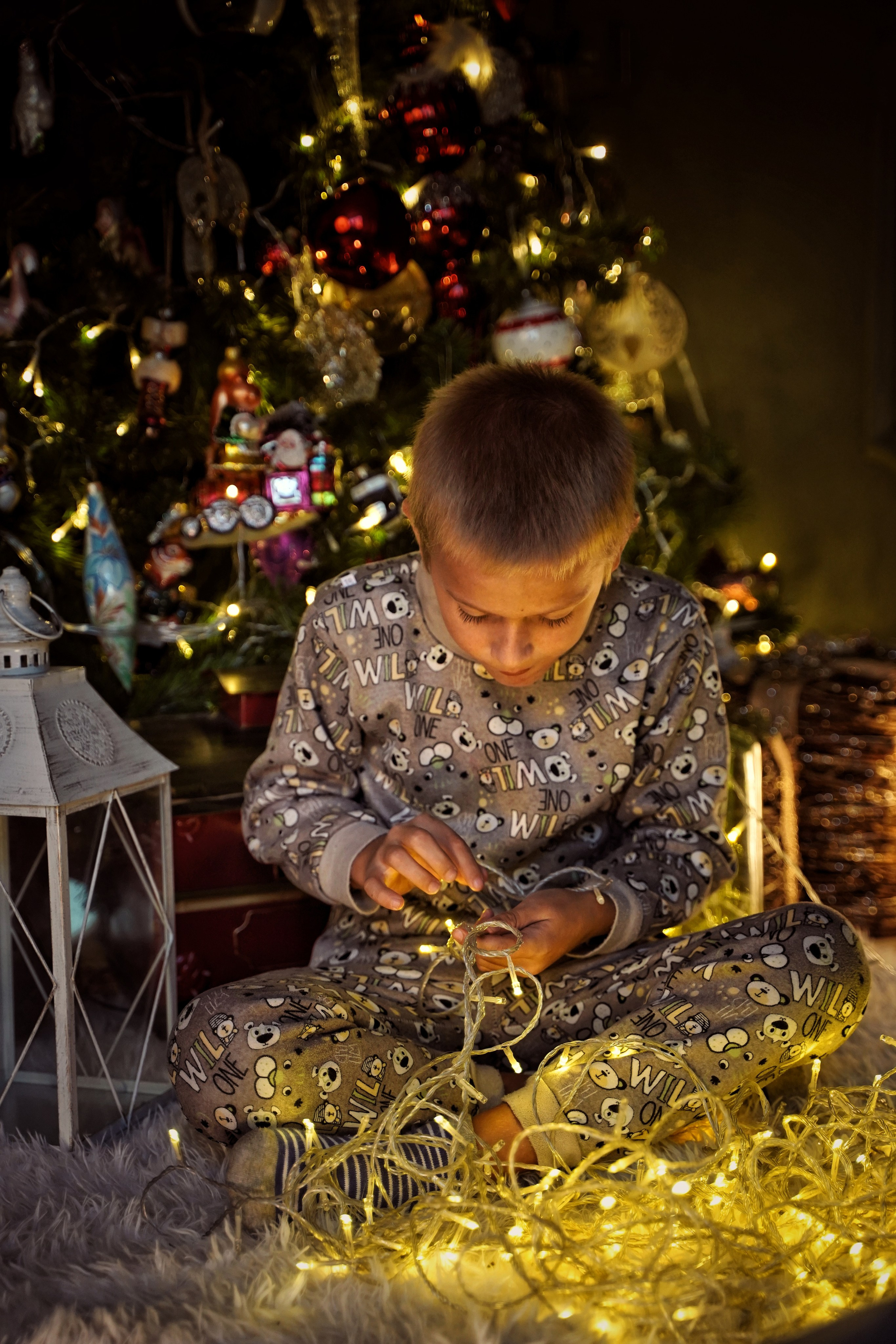 Эльфы. Фотограф. Визуал. Хайфа. Талья Цветкова
