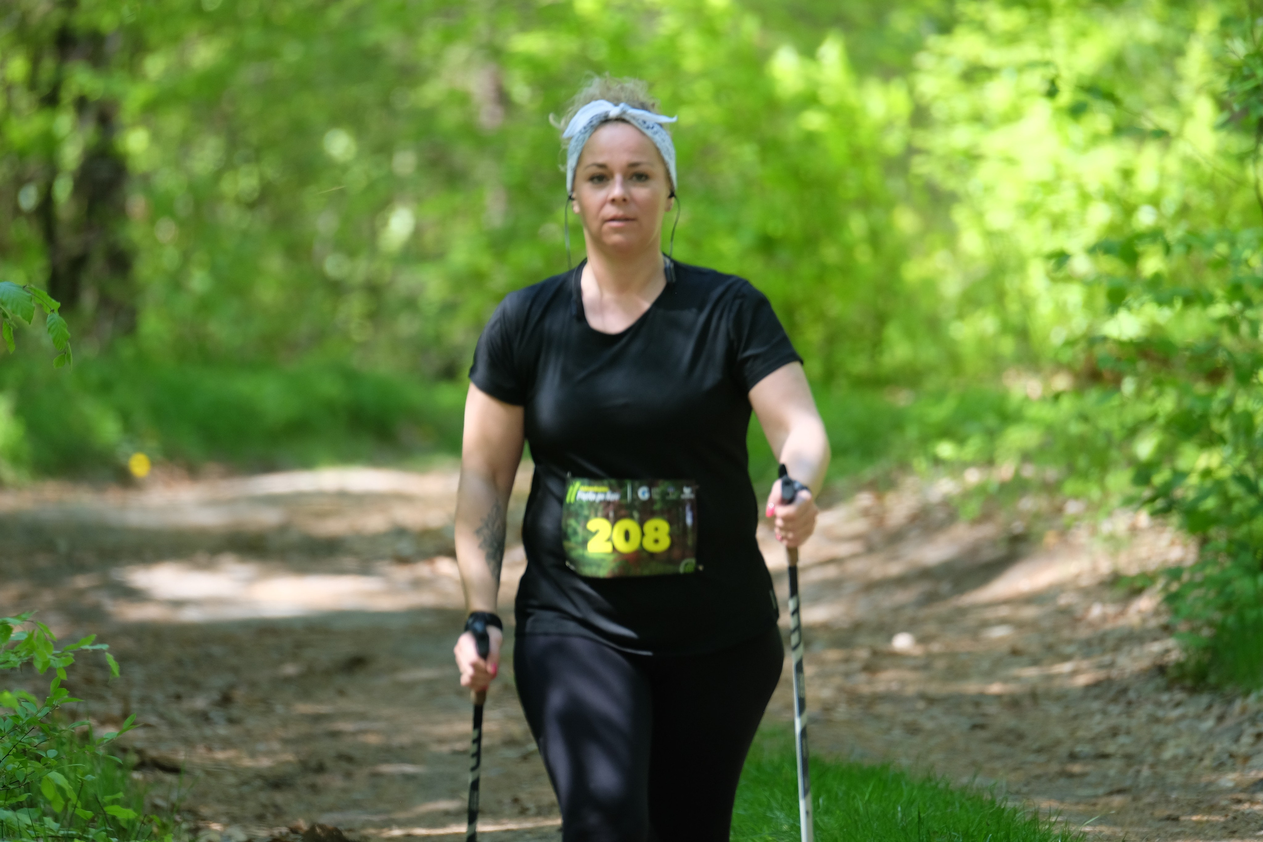 Aleksandryjska Piątka po lesie. Main