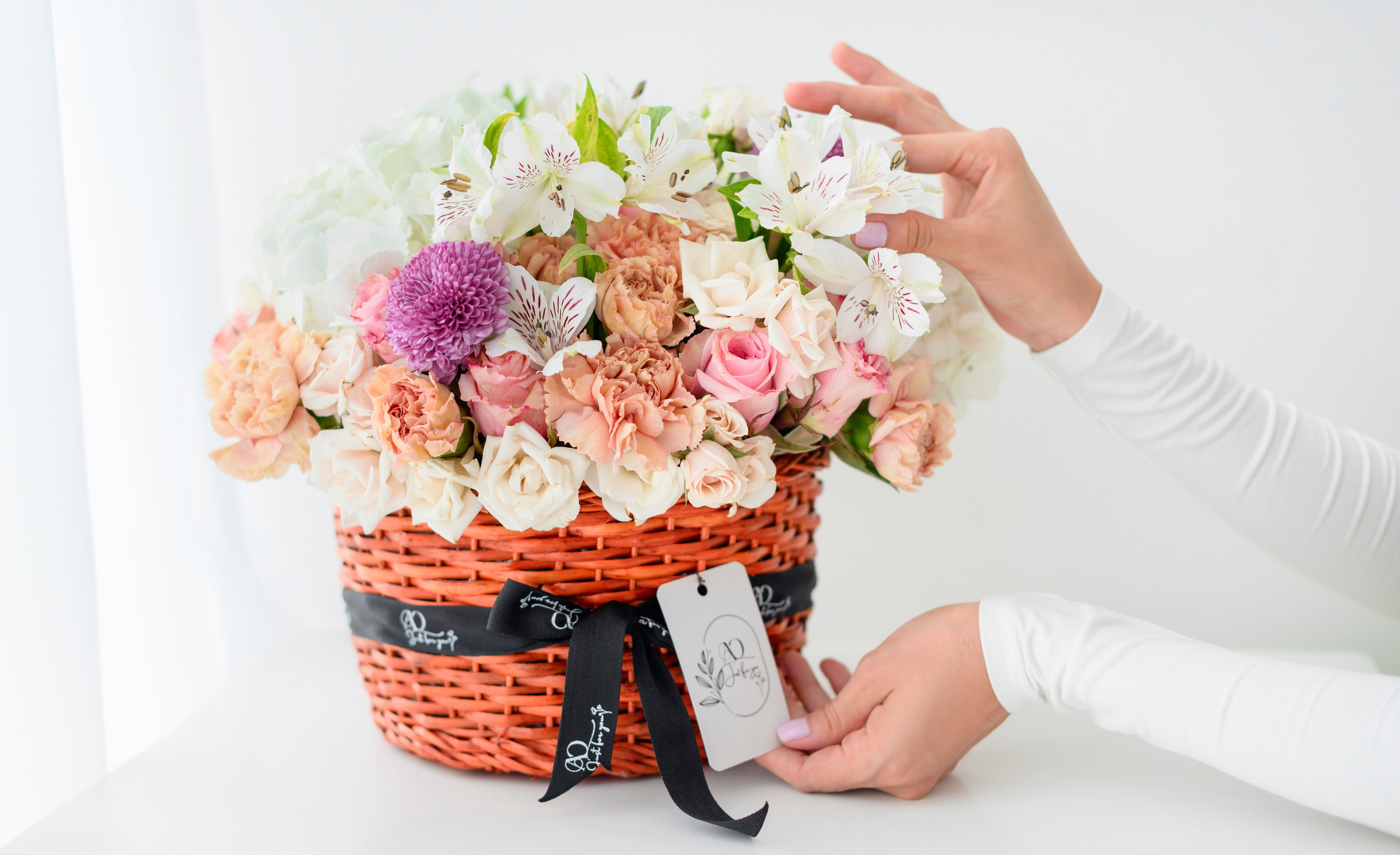 Marca personal. Tania Tovar Fotografia