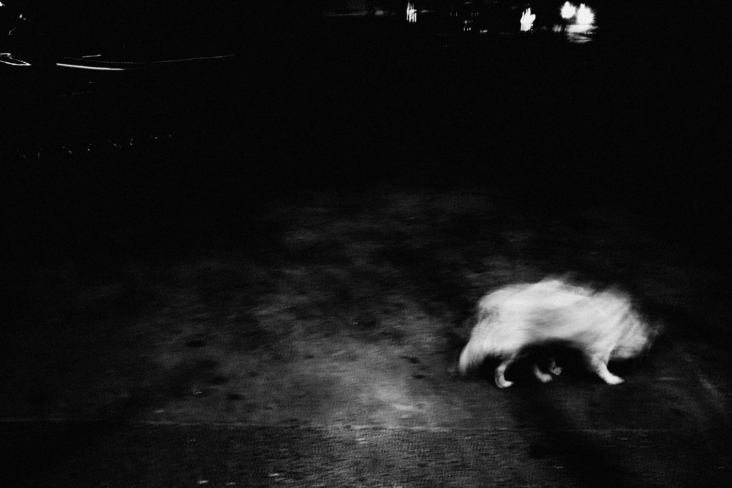 What mean Ukraine?. Ozwalt