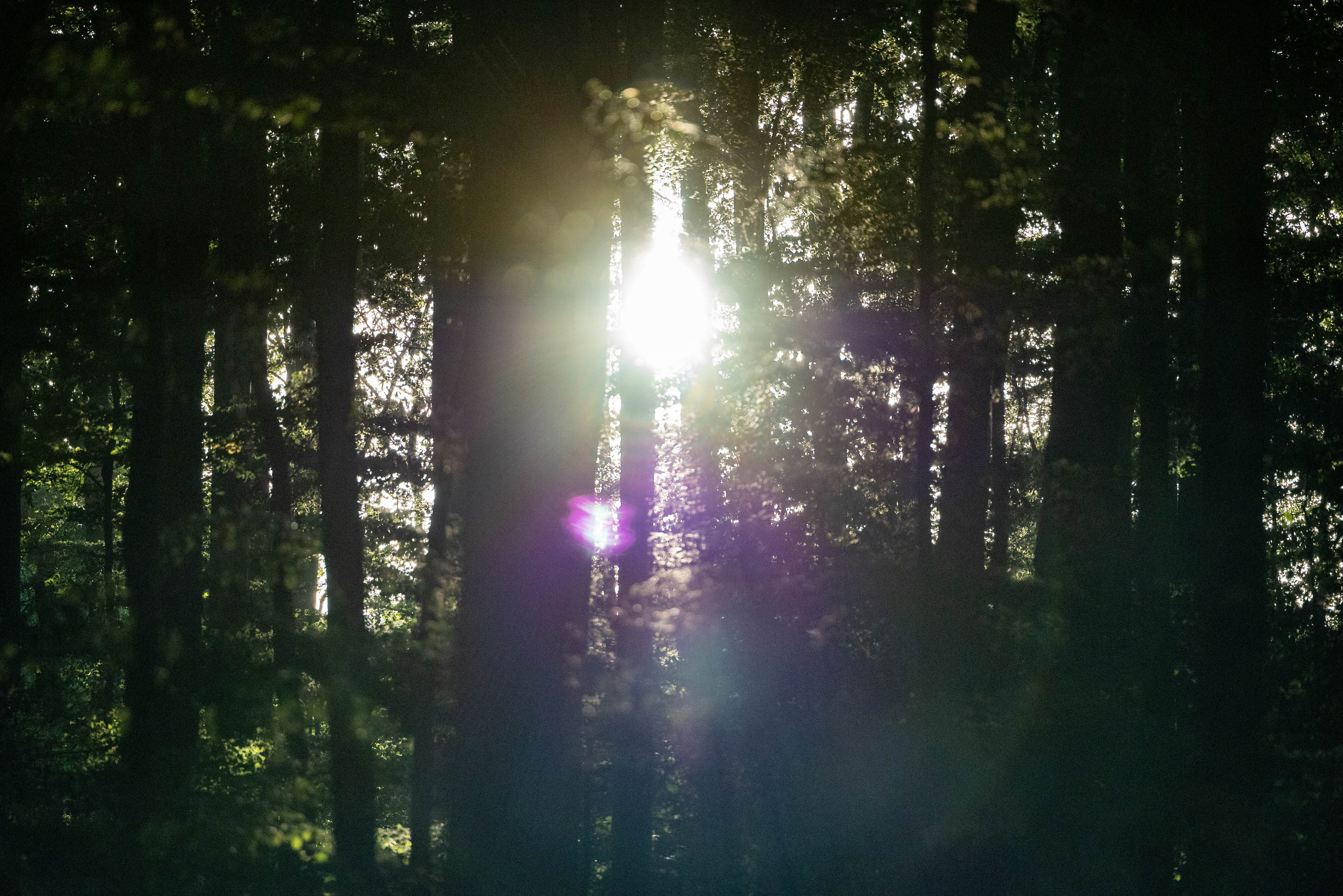 Efterår. Fotograf Aarhus | Portrætfoto Århus | Flotte billeder