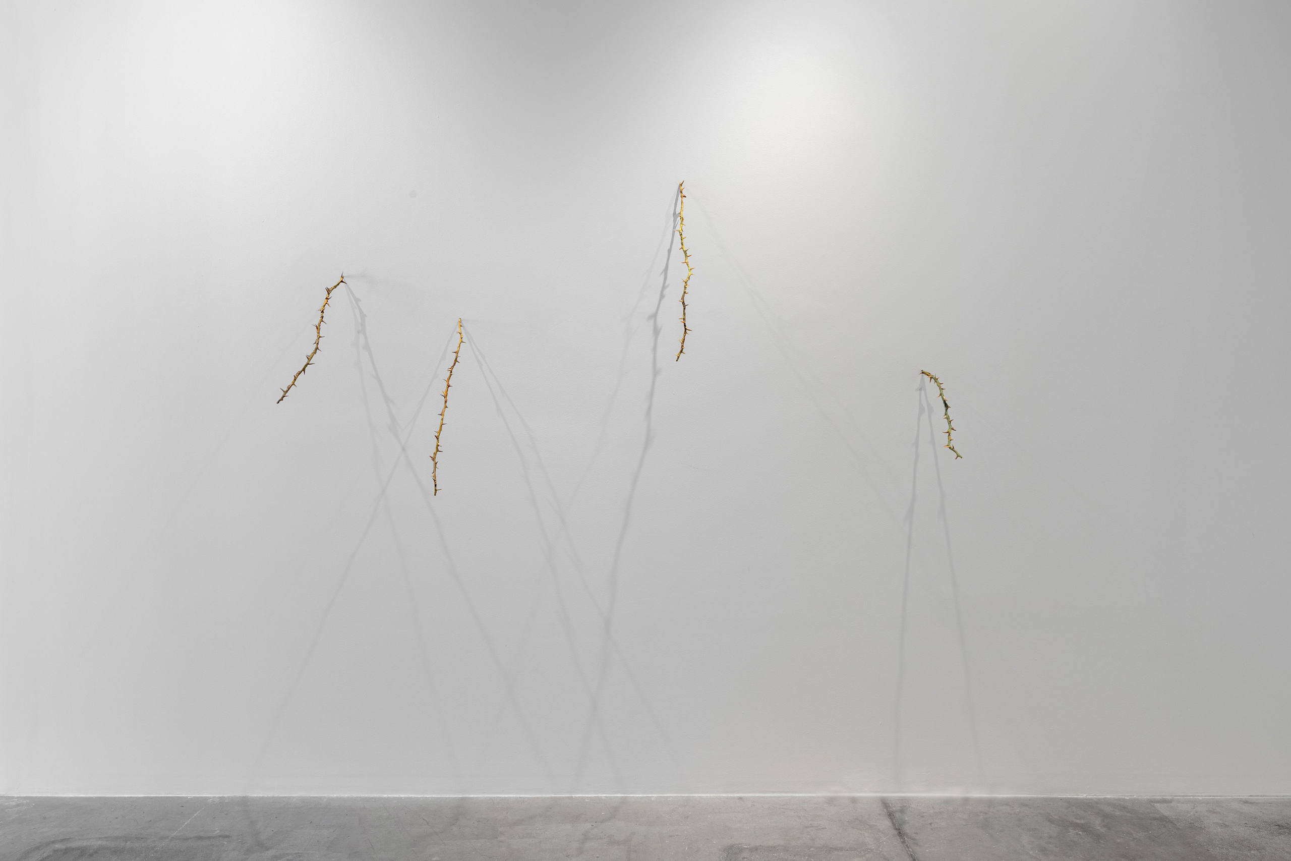 Nika Project Space “Beghost”