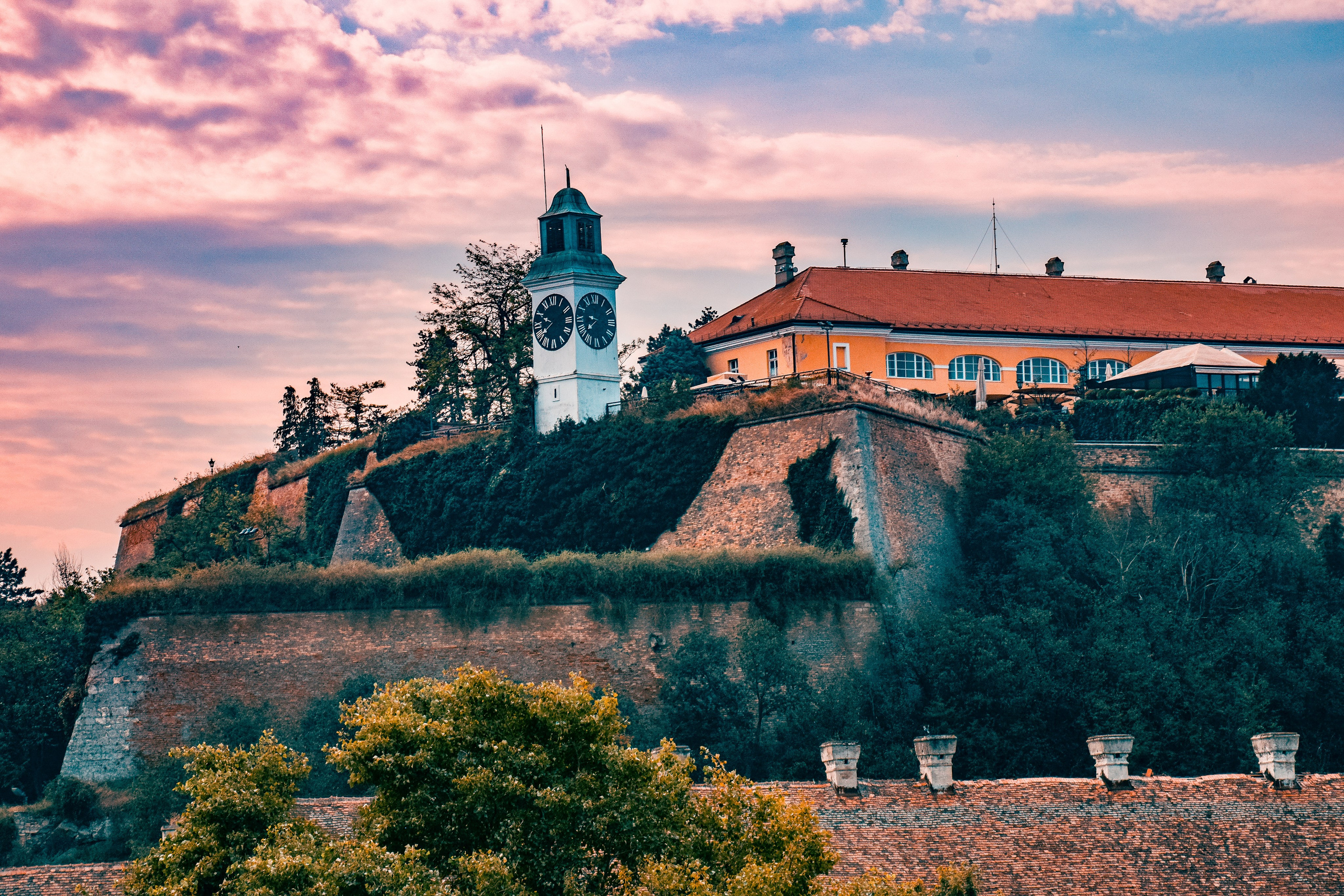 Петроварадин - галерија на продају. Викторија Федосеенко, фотограф у Србији