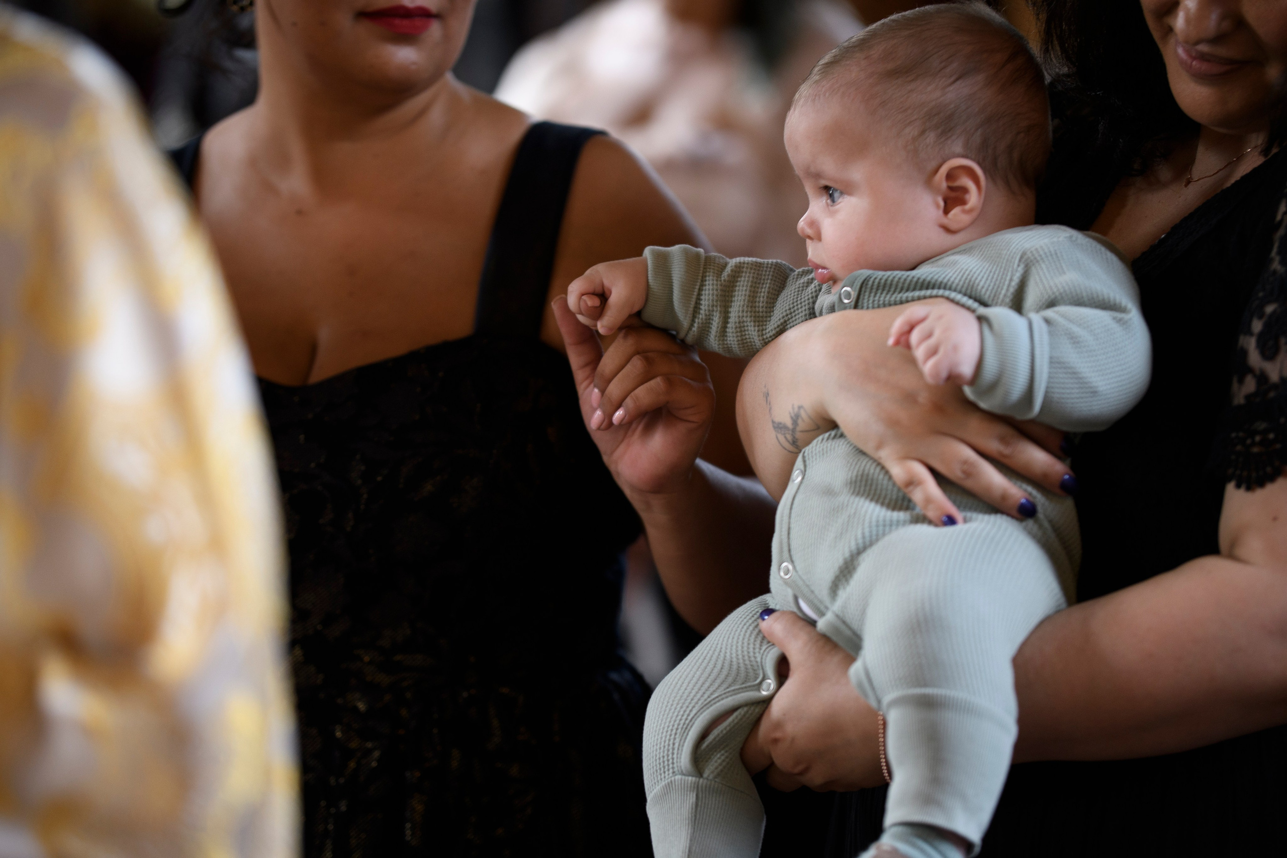 Fotografii Nunta + Botez Ciresul Salbatic. MDimaFotoStudio. Fotograf de nuntă, evenimente private și de familie