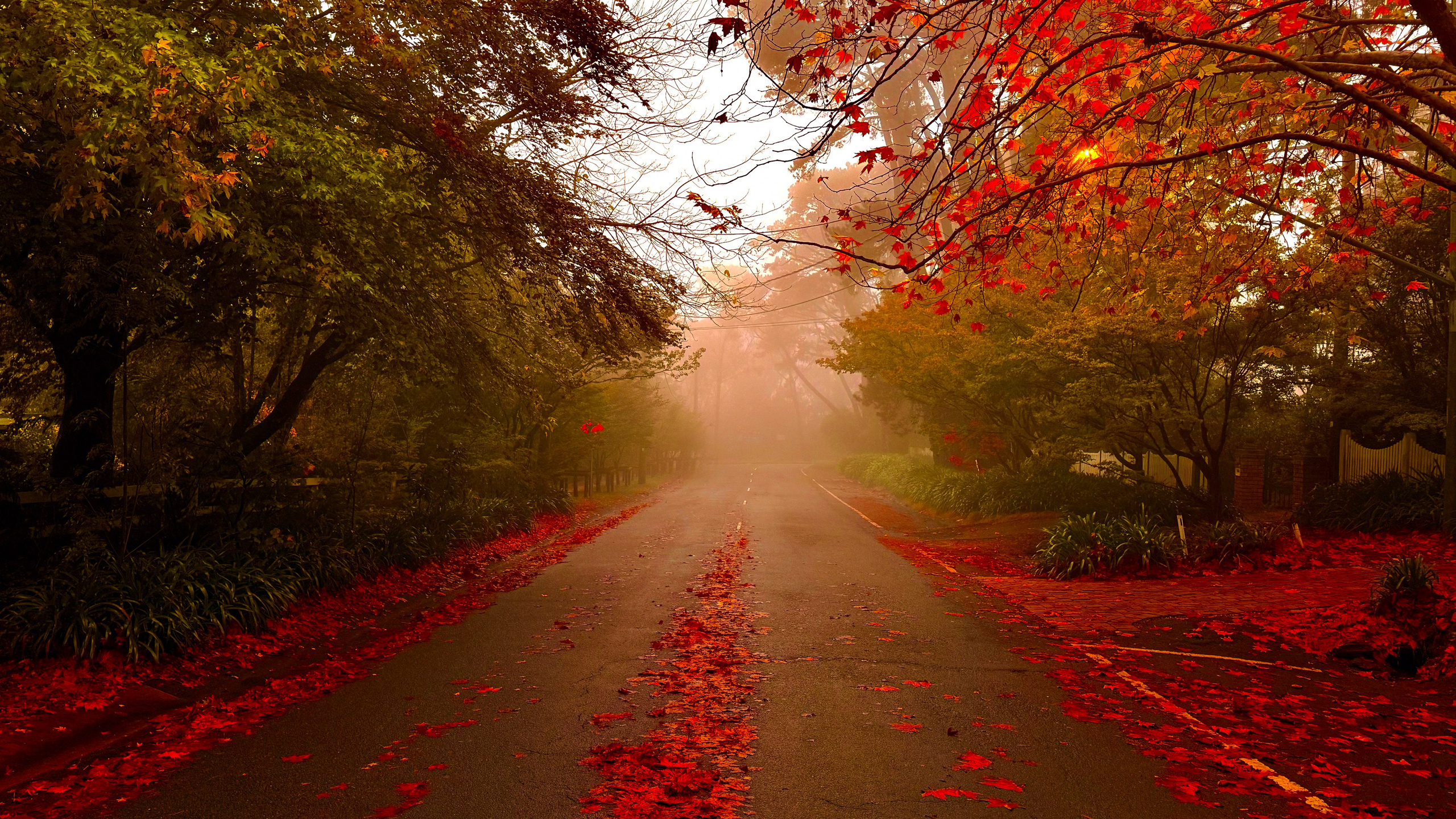 WallMuse. MHCreative is family-oriented photographer based in SYDNEY