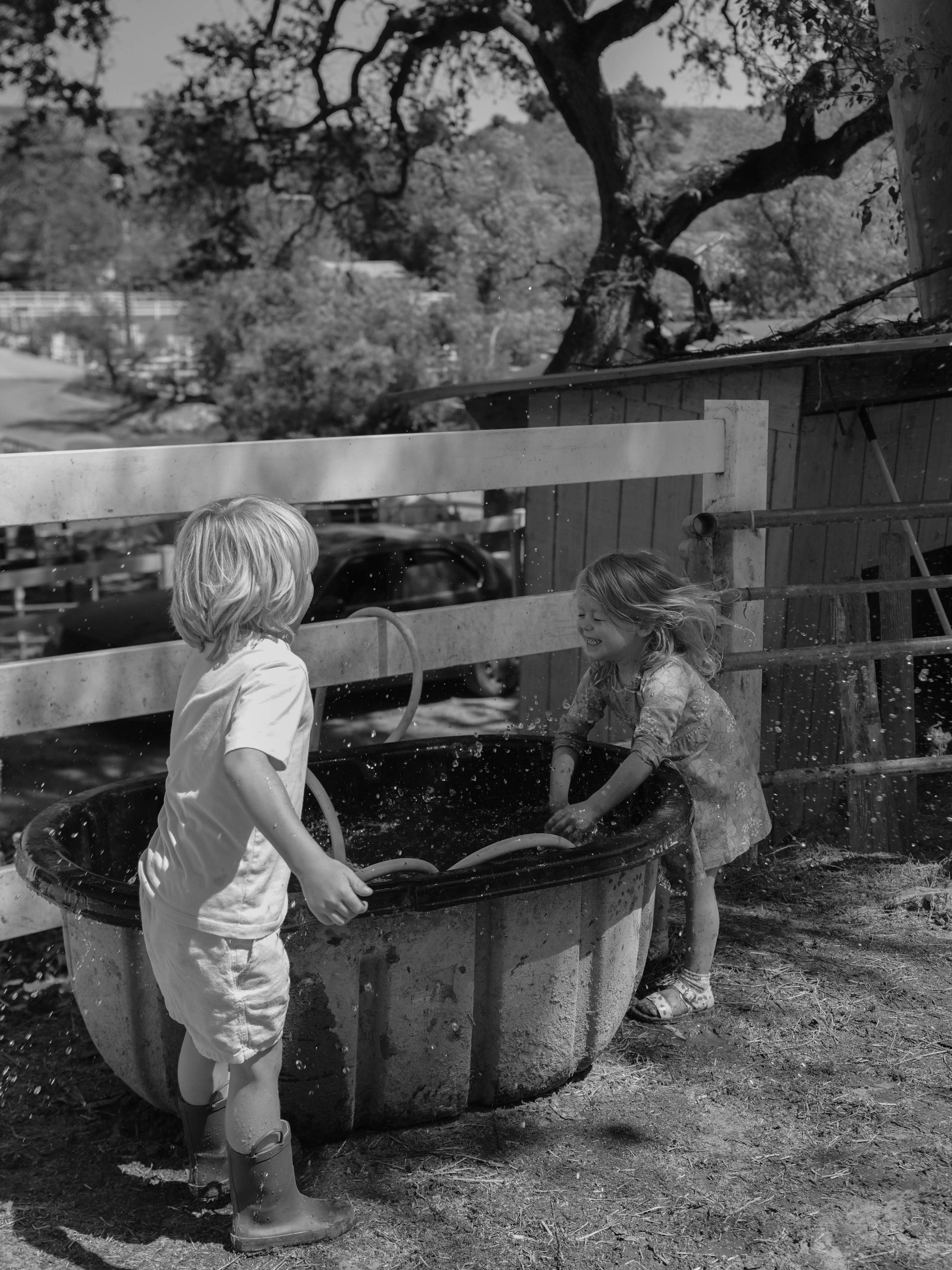 Children with horses. Фотограф и видеограф в США (и по всему миру) — Татьяна Иванова