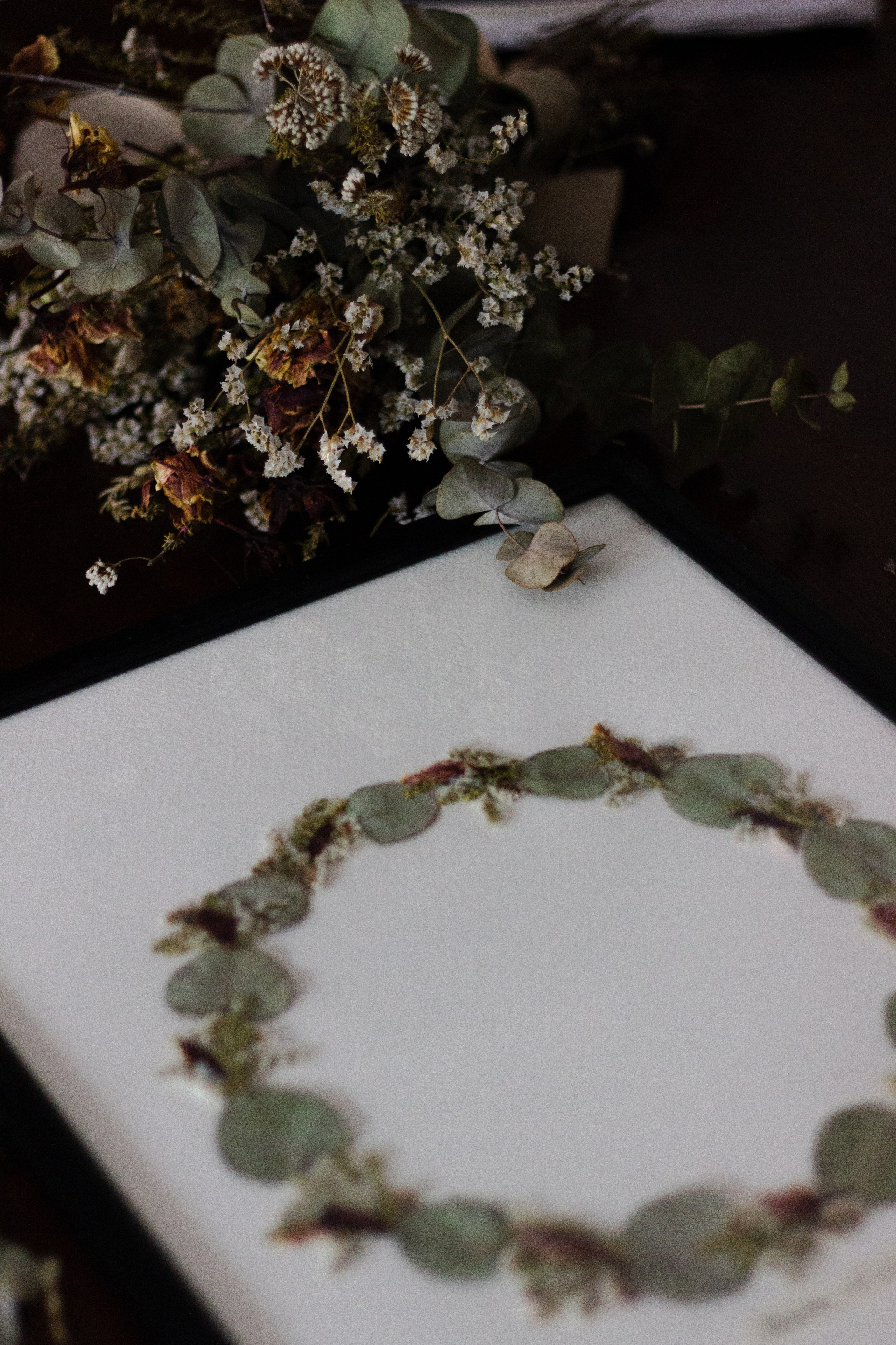 Portfolio. Herbarij studio