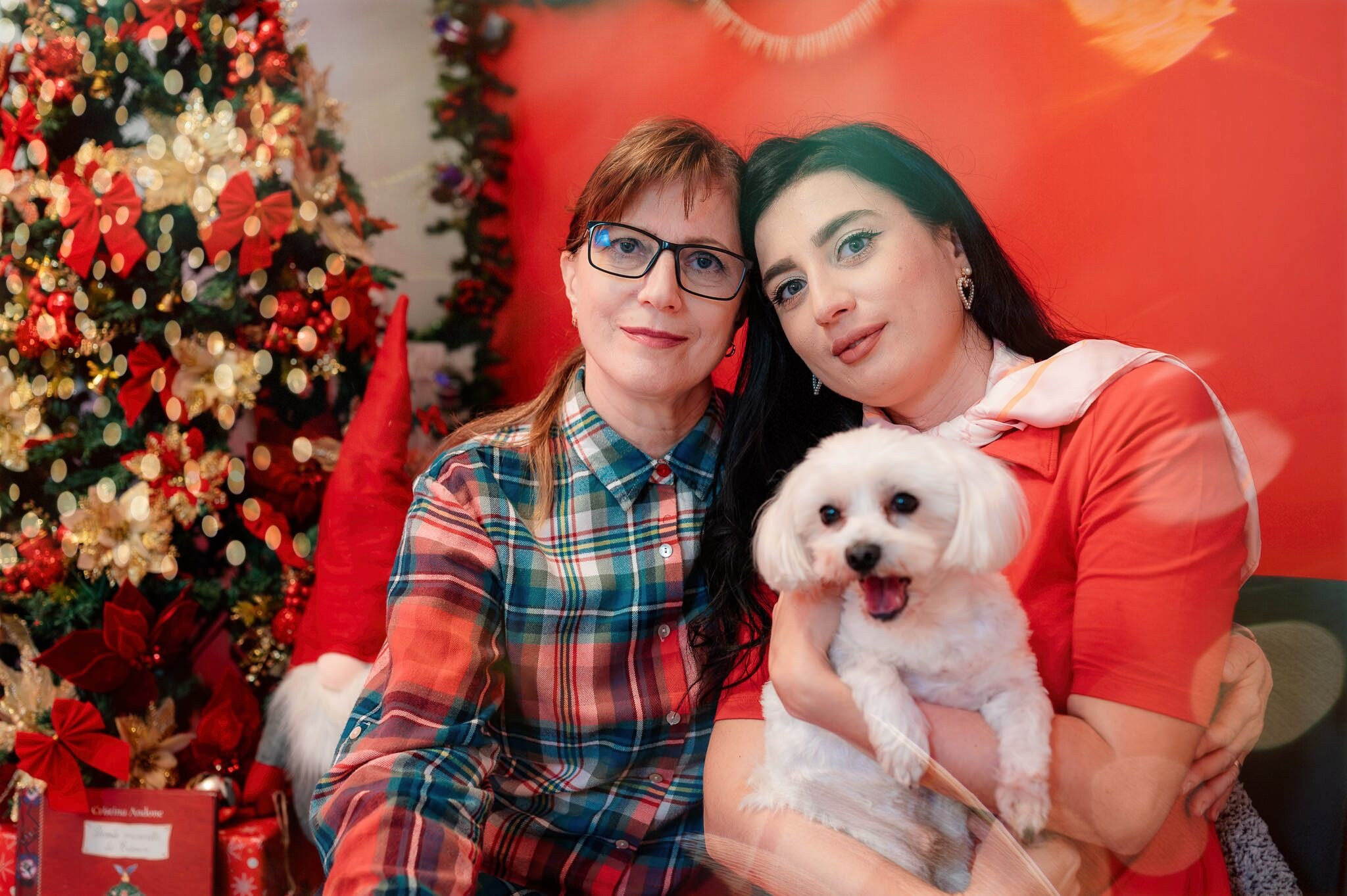 Sedinta Craciun Alexandrina