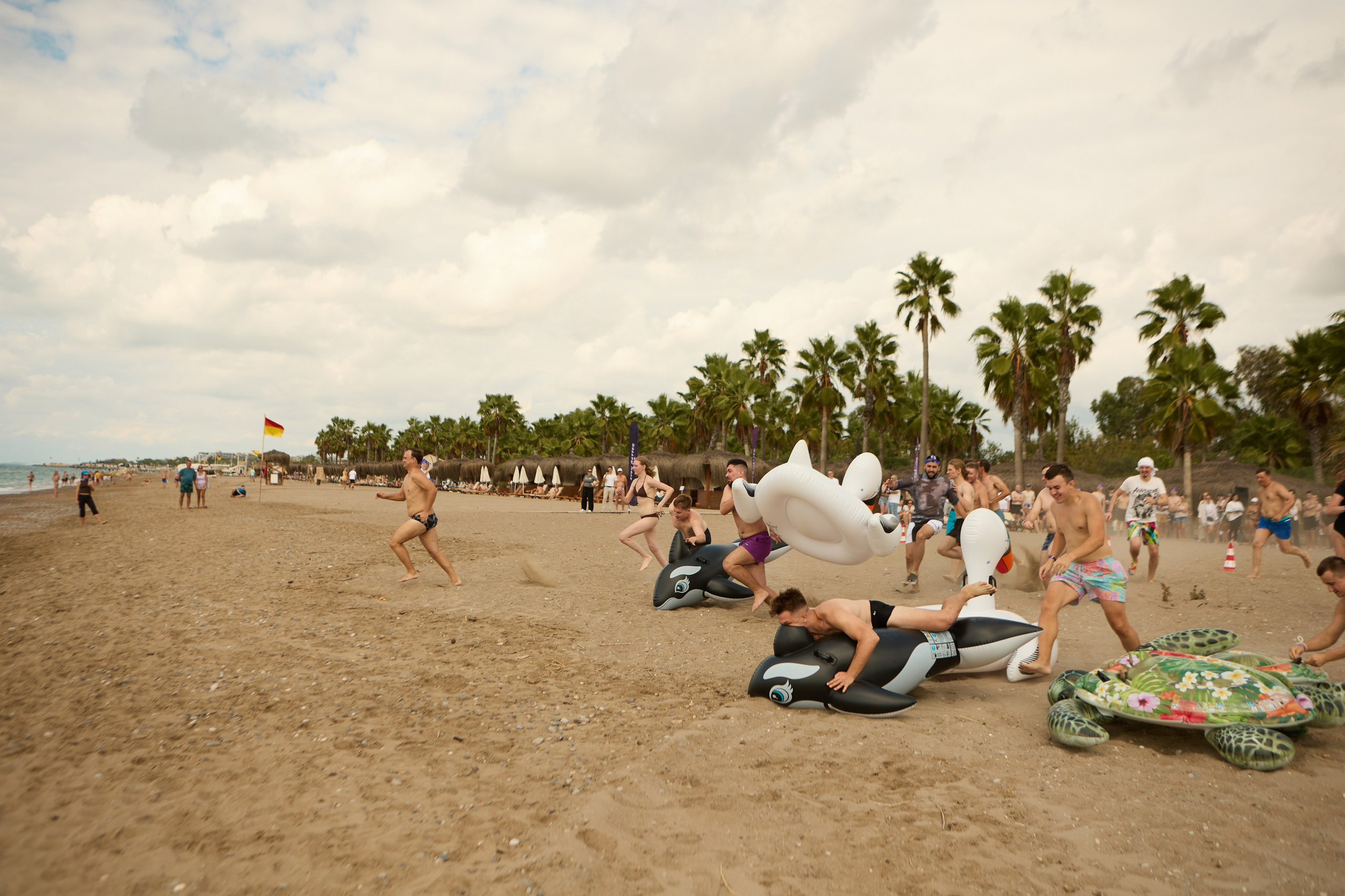 Тимбилдинг. Свадебный и семейный фотограф Жанна Руденко