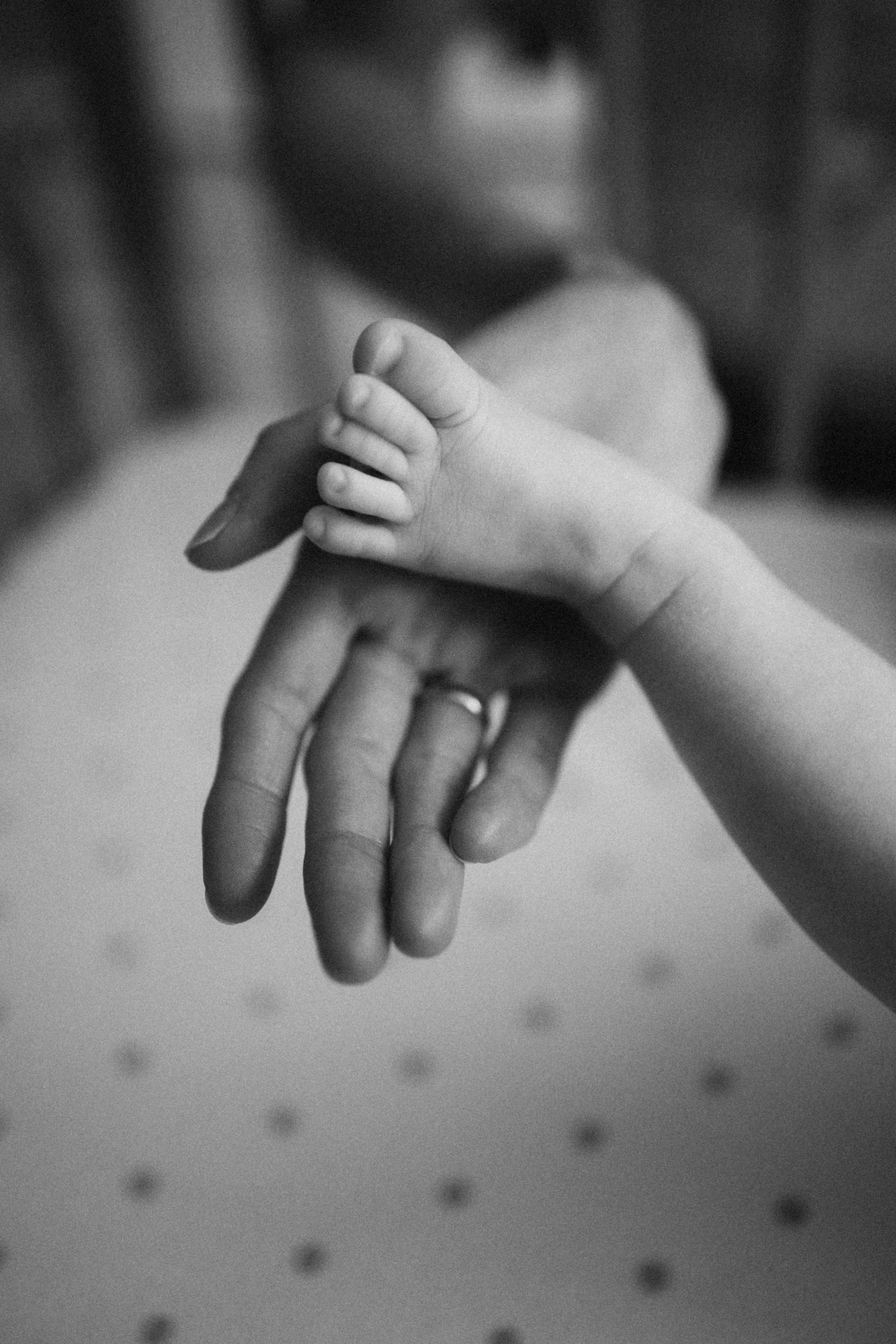 Family and maternity. Yuliya Vaschenok — Photographer in the Netherlands