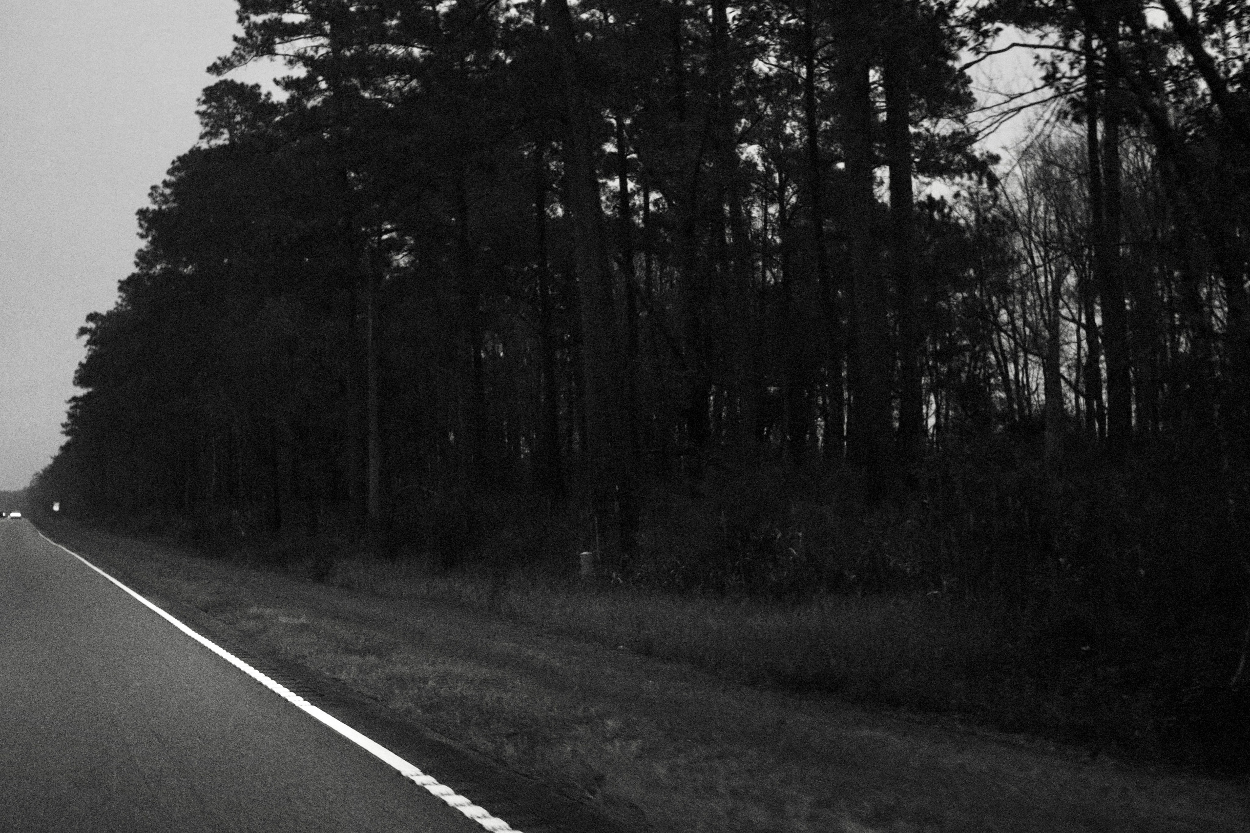 Monochrome. Sonny Photos