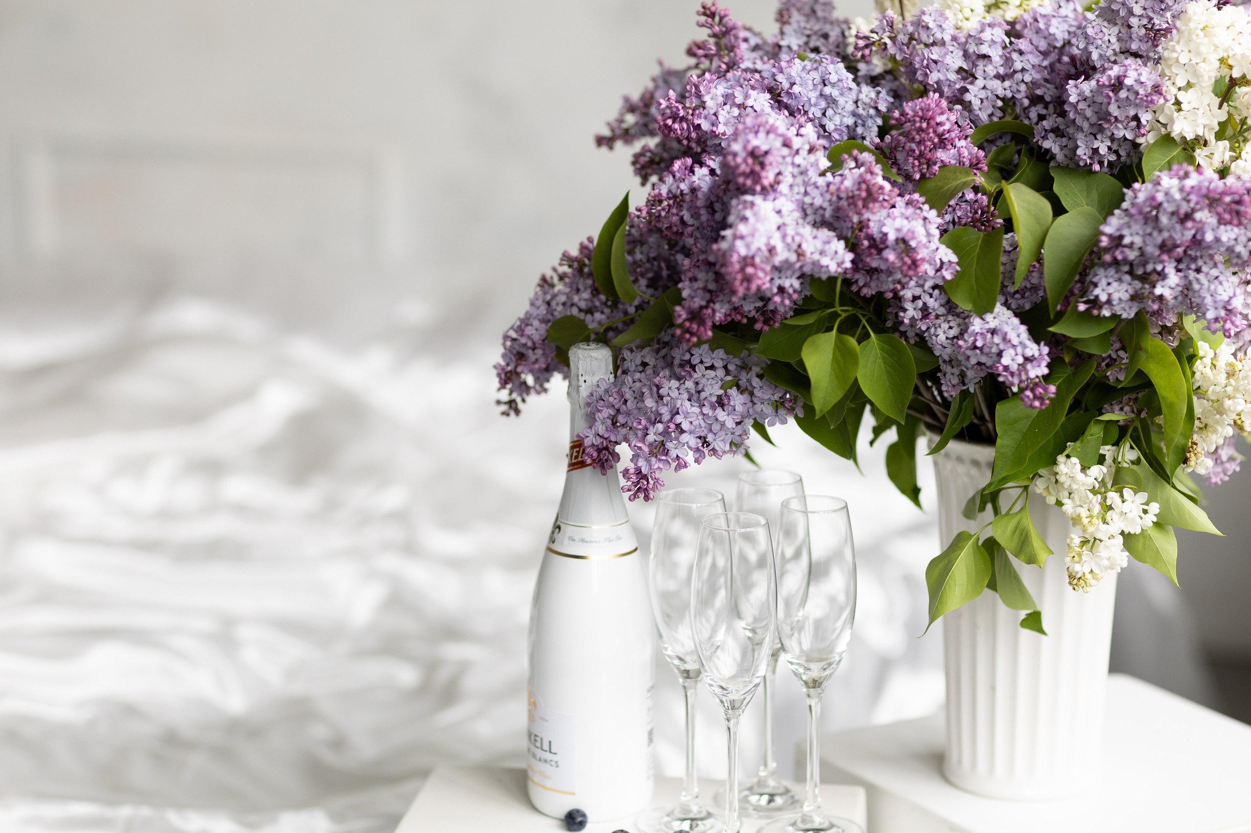 FOTO-PARTY MIT FLIEDER. Professionelle Fotografin in Villingen-Schwenningen Olena Reichel