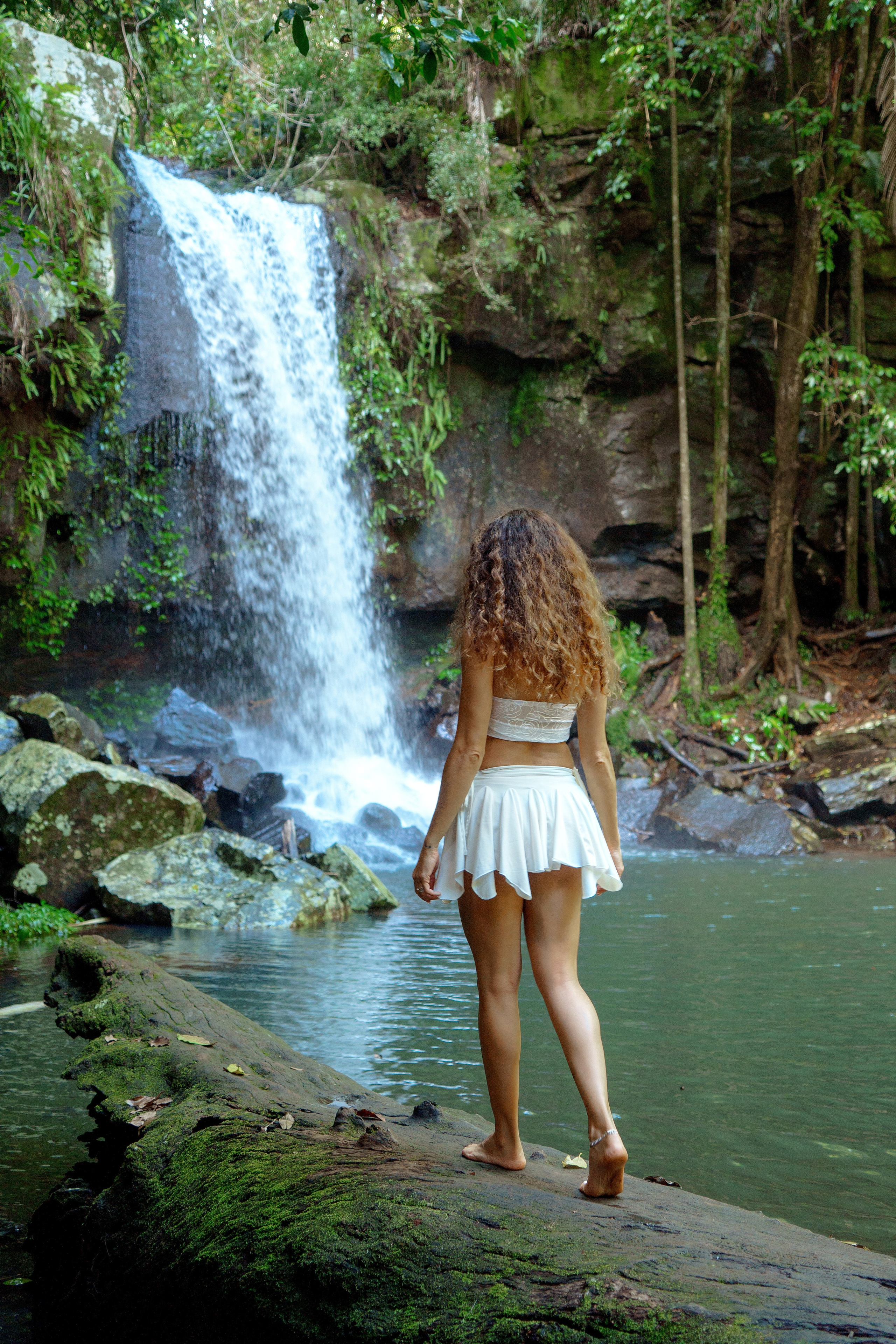 Tropical Forest with Ran. Welcome!