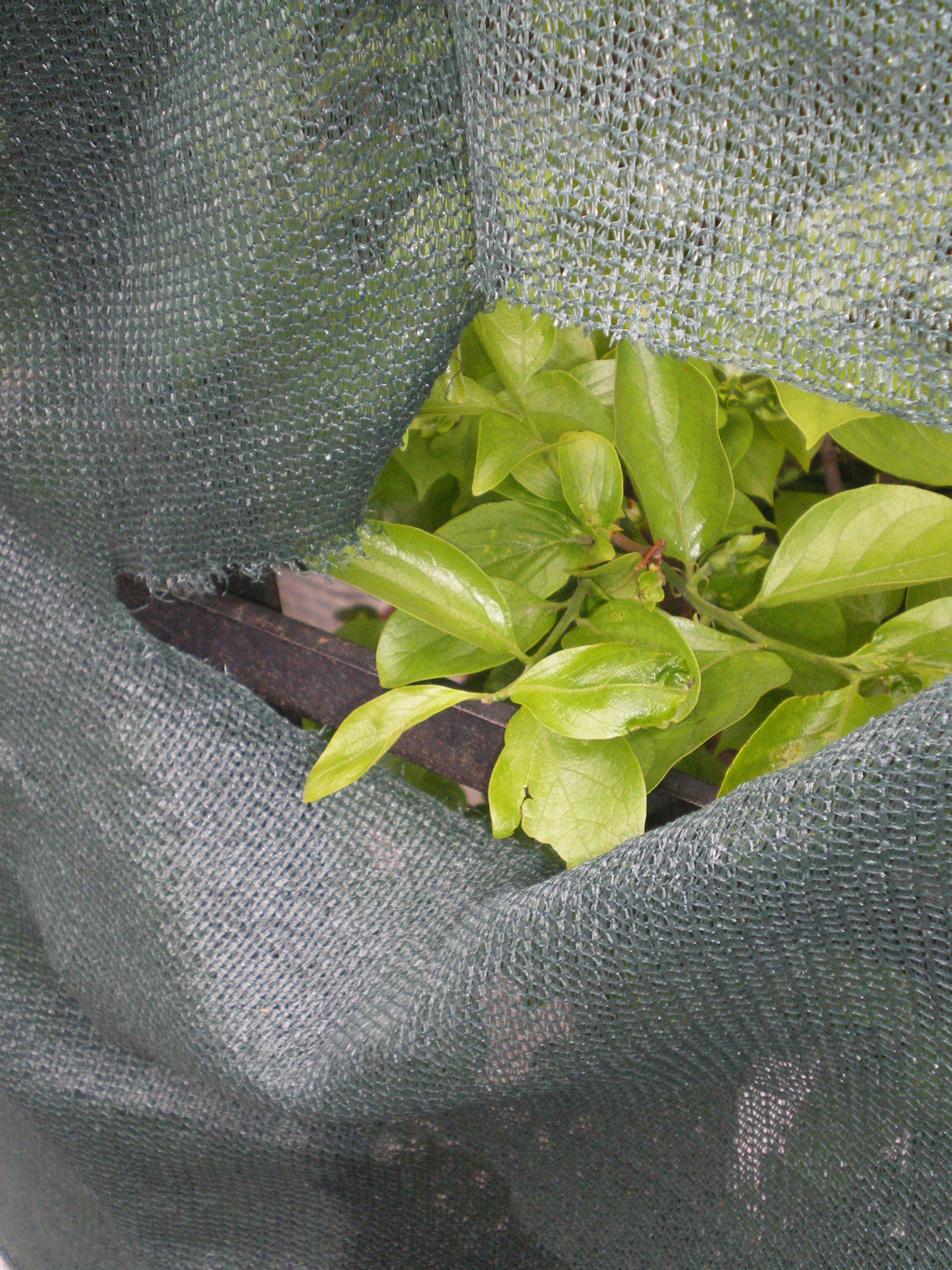 Ode to istanbul. Daria Sukhikh | Photography