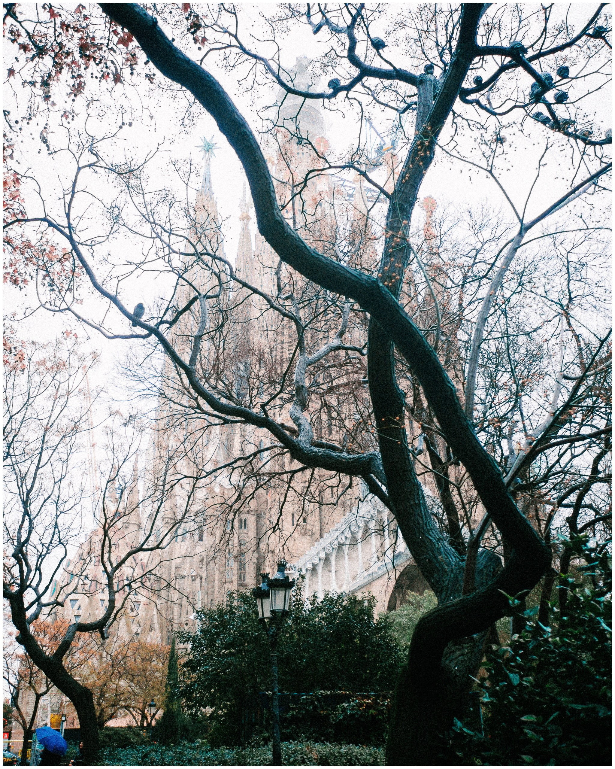 BARCELONA. Inna Mendelson — Photographer