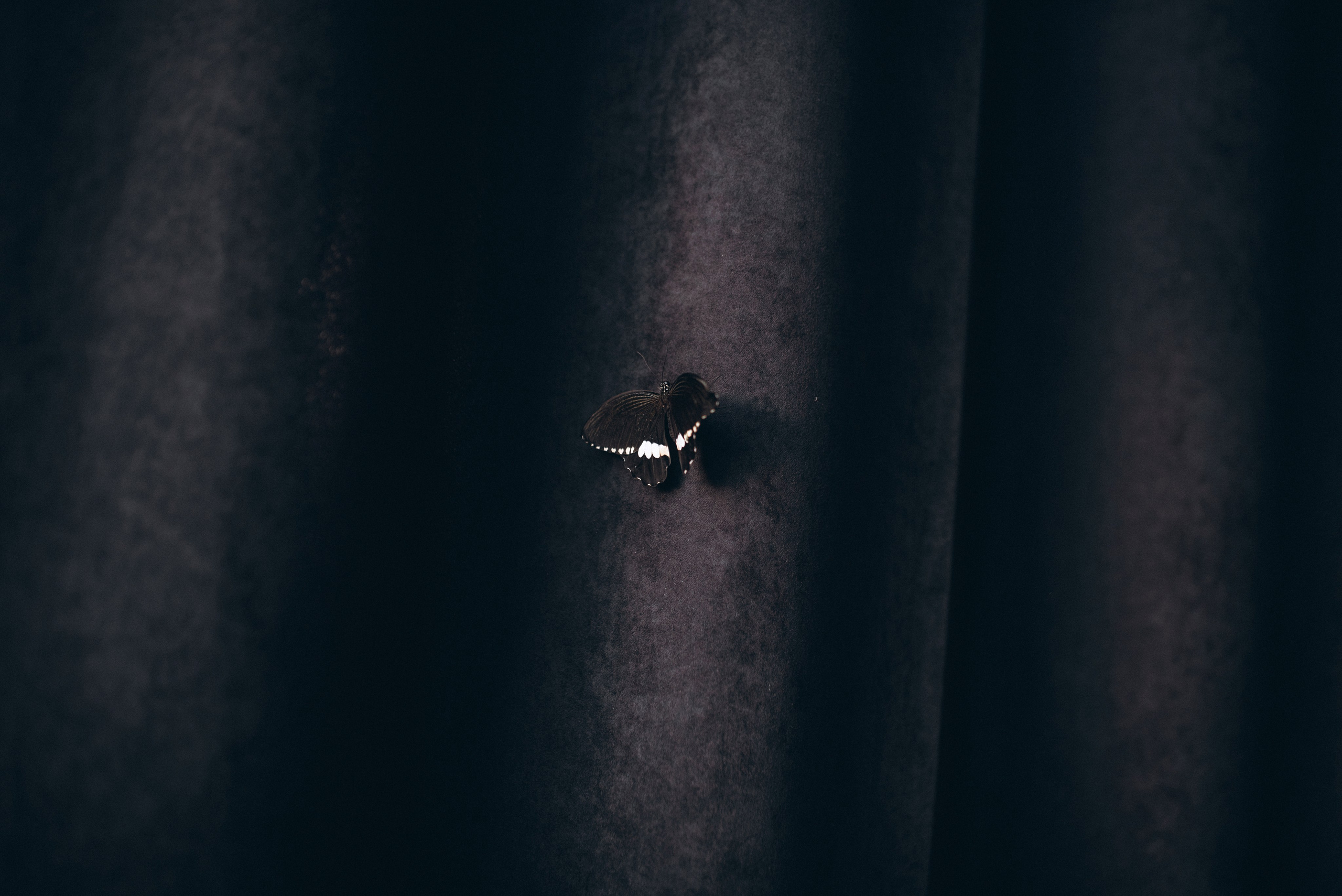 Diana & Slava. Familien- und Hochzeitsfotografin. Ich arbeite in Koblenz und Rheinlan