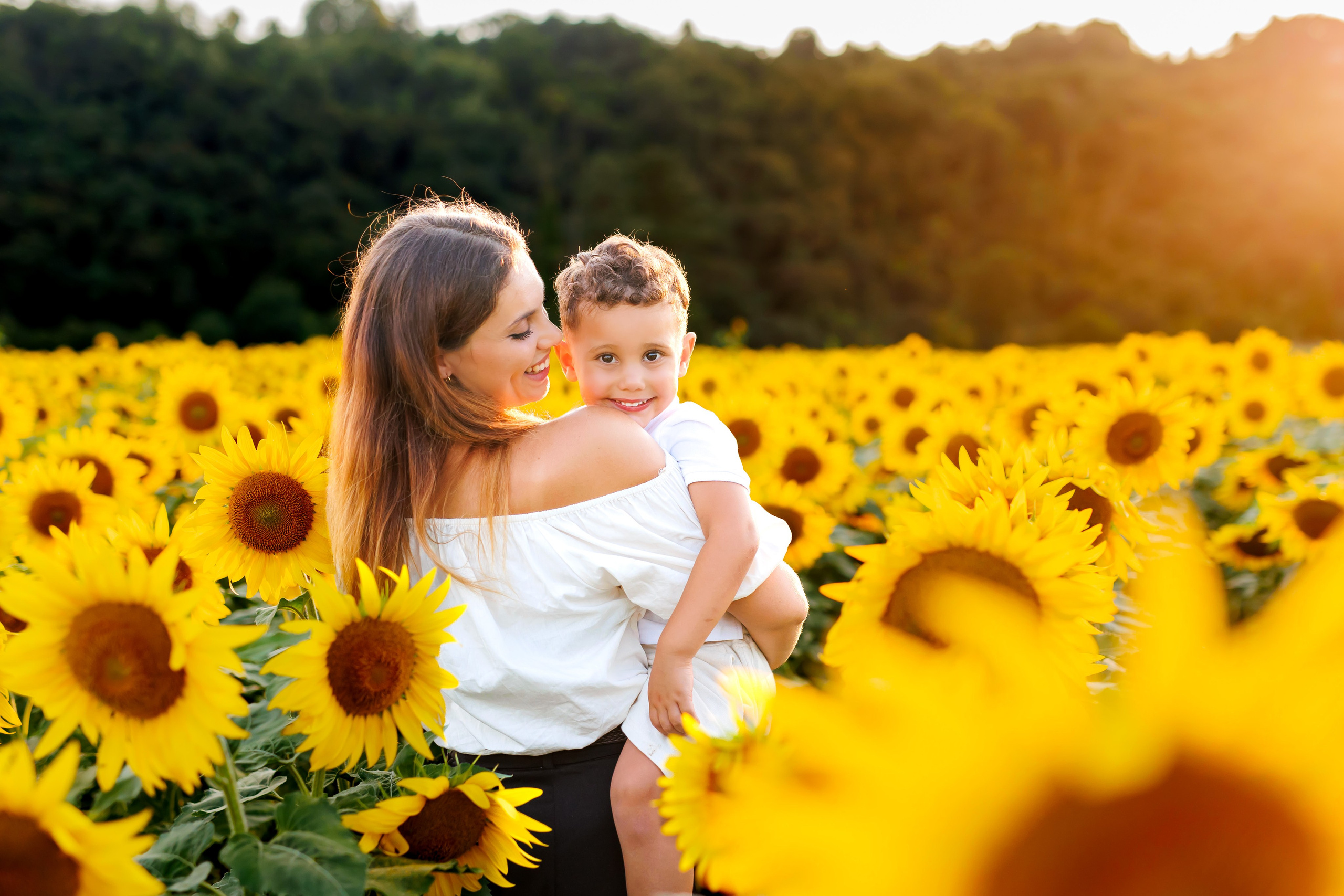 Tramonto tra i girasoli - 2026. Luci e Capricci Photography