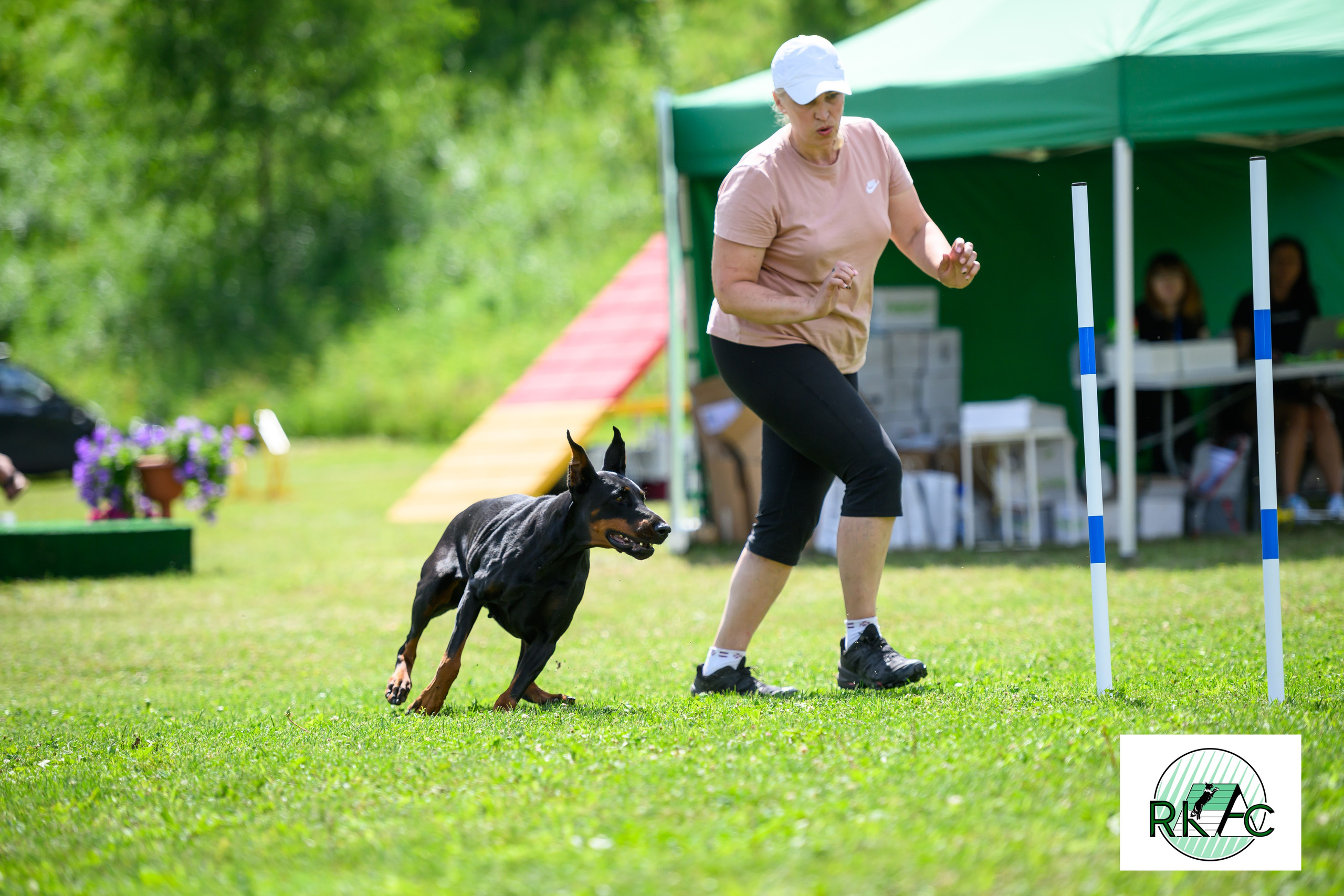 Suņu sacensības veiklībā. Ritvars Pujats Emotion Photographer