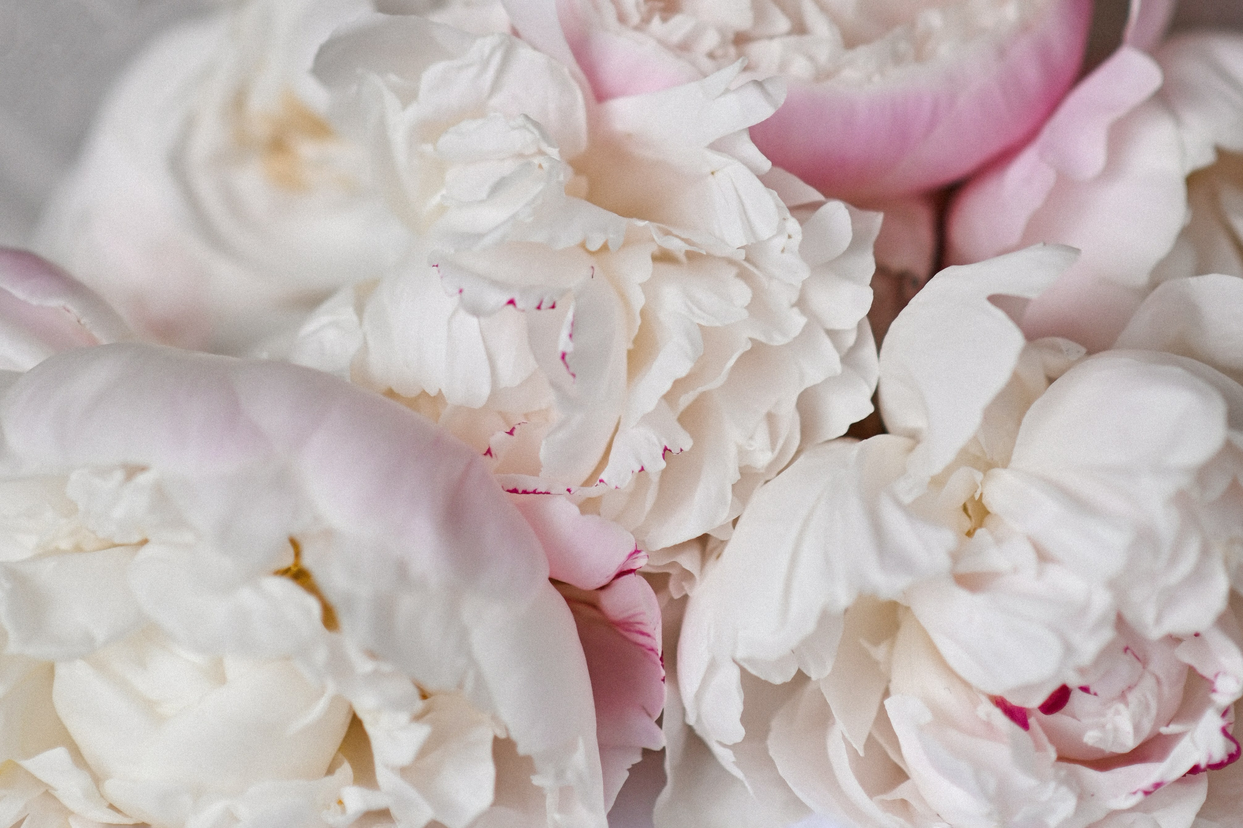 Yuri & Anastasia. Детский и семейный фотограф в финляндии дина пулкка. контент фотограф