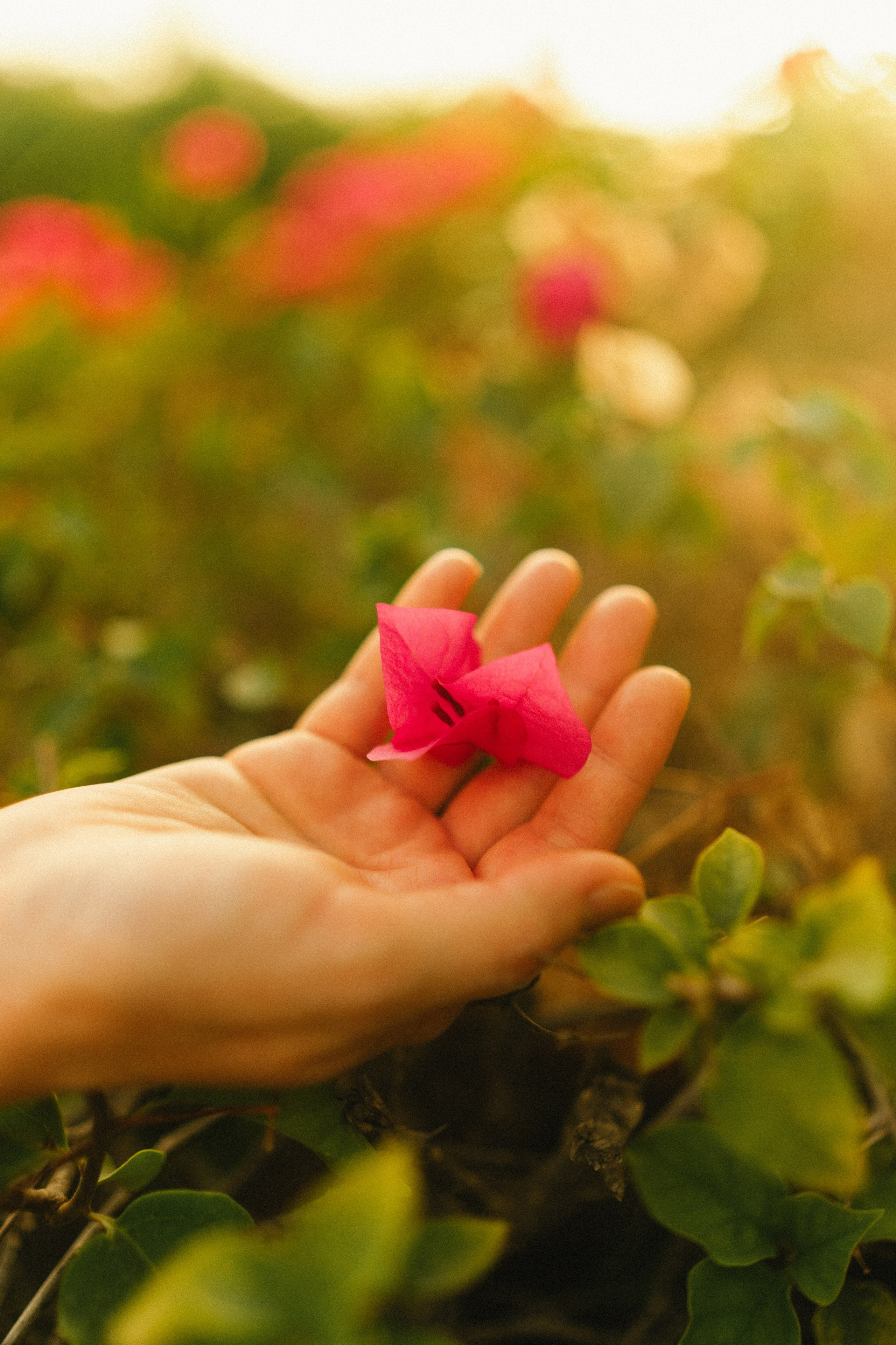 Abu Dhabi family photographer. Professional Photographer Abu Dhabi, Dubai — Yulia Ismoilova | 2025