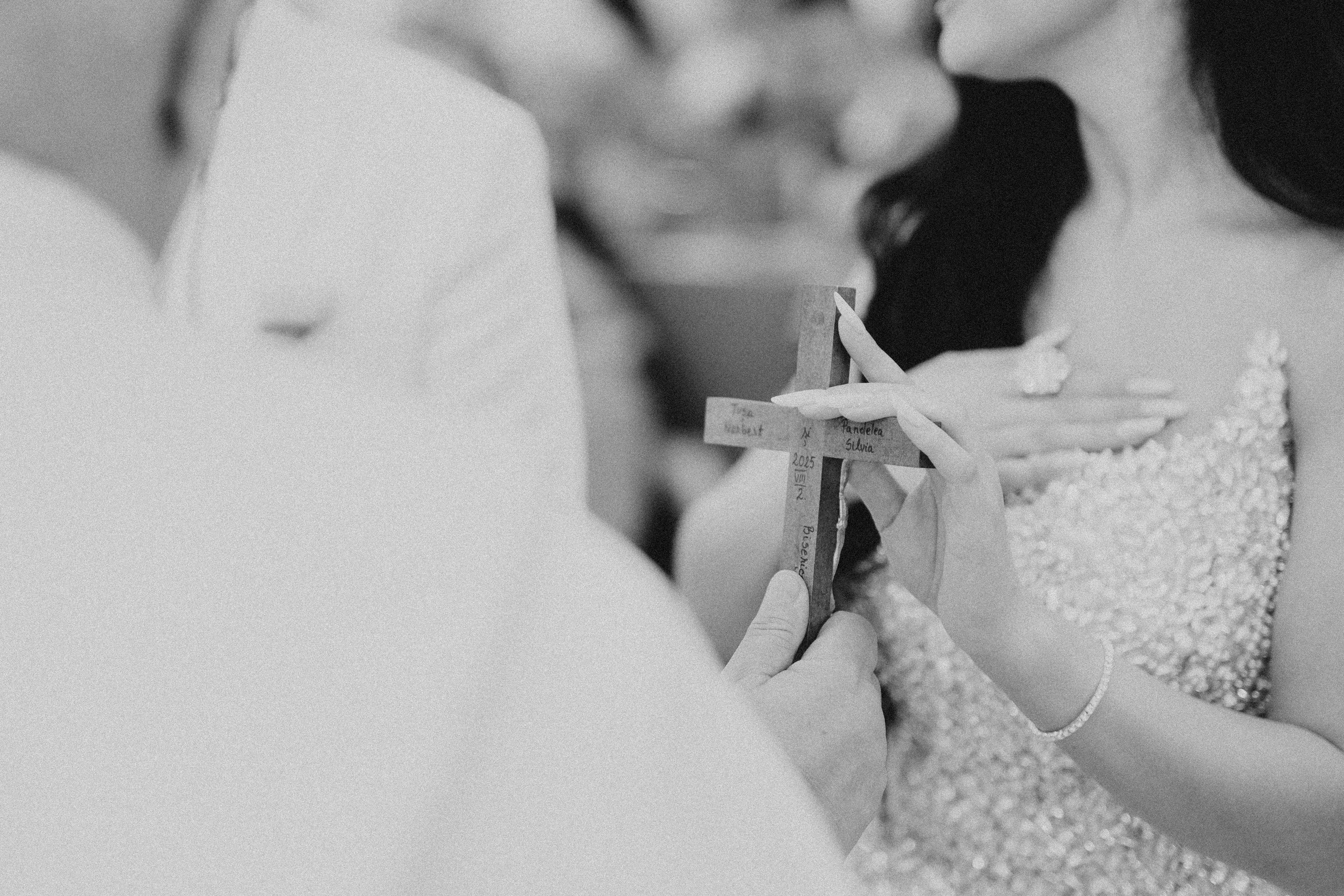 Silva + Norbert | Deva, Hunedoara. FotoVizion Iași